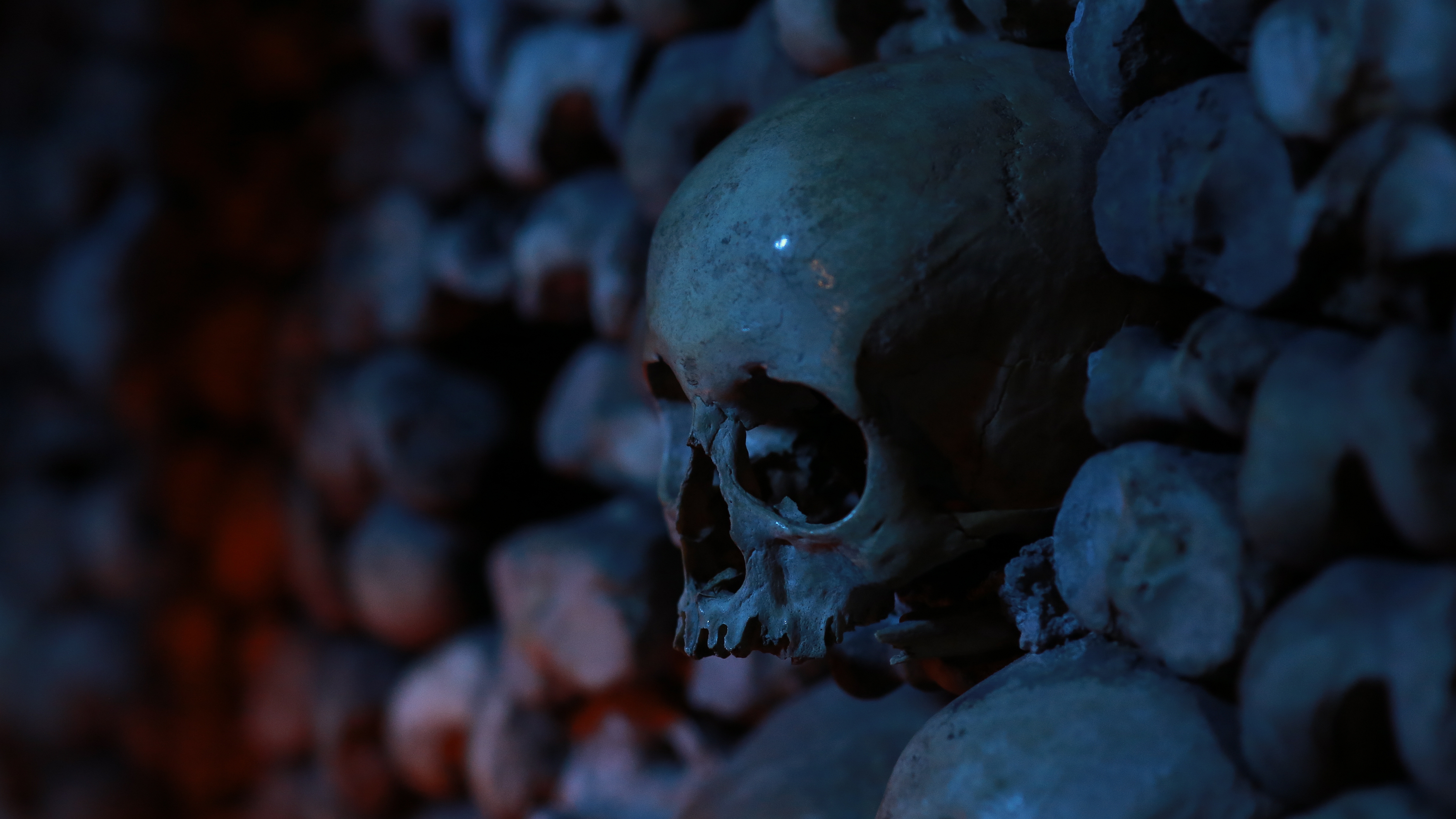 Free download wallpaper Dark, Skull on your PC desktop