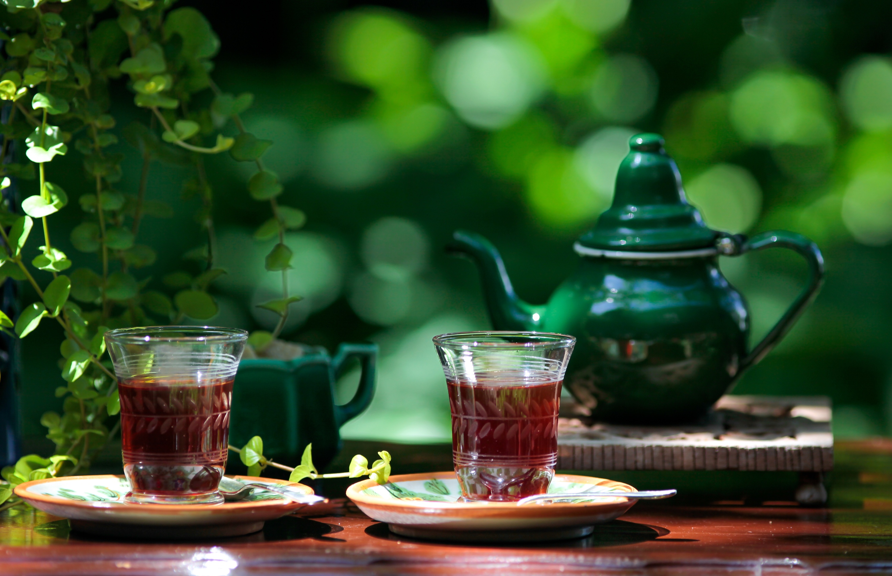 food, tea, bokeh, still life, teapot