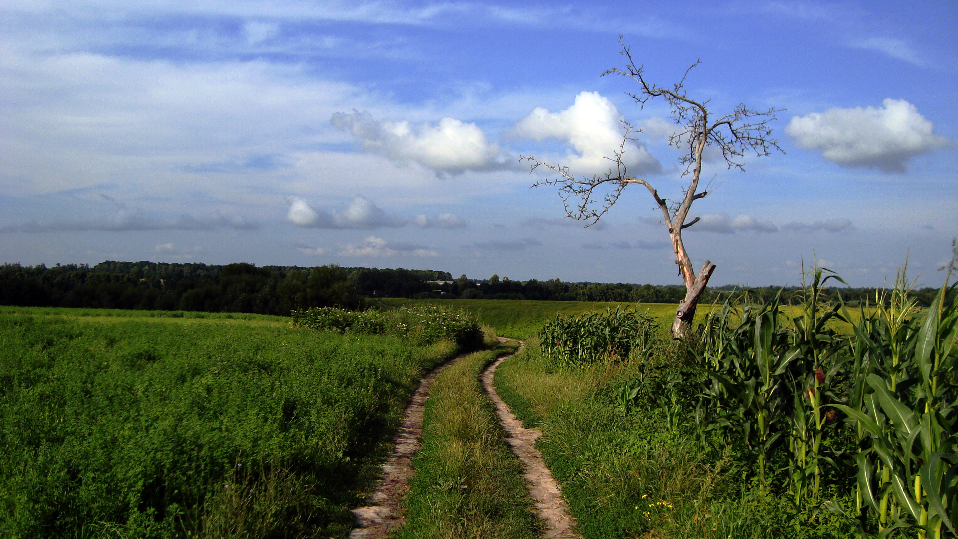 Free download wallpaper Landscape, Earth on your PC desktop