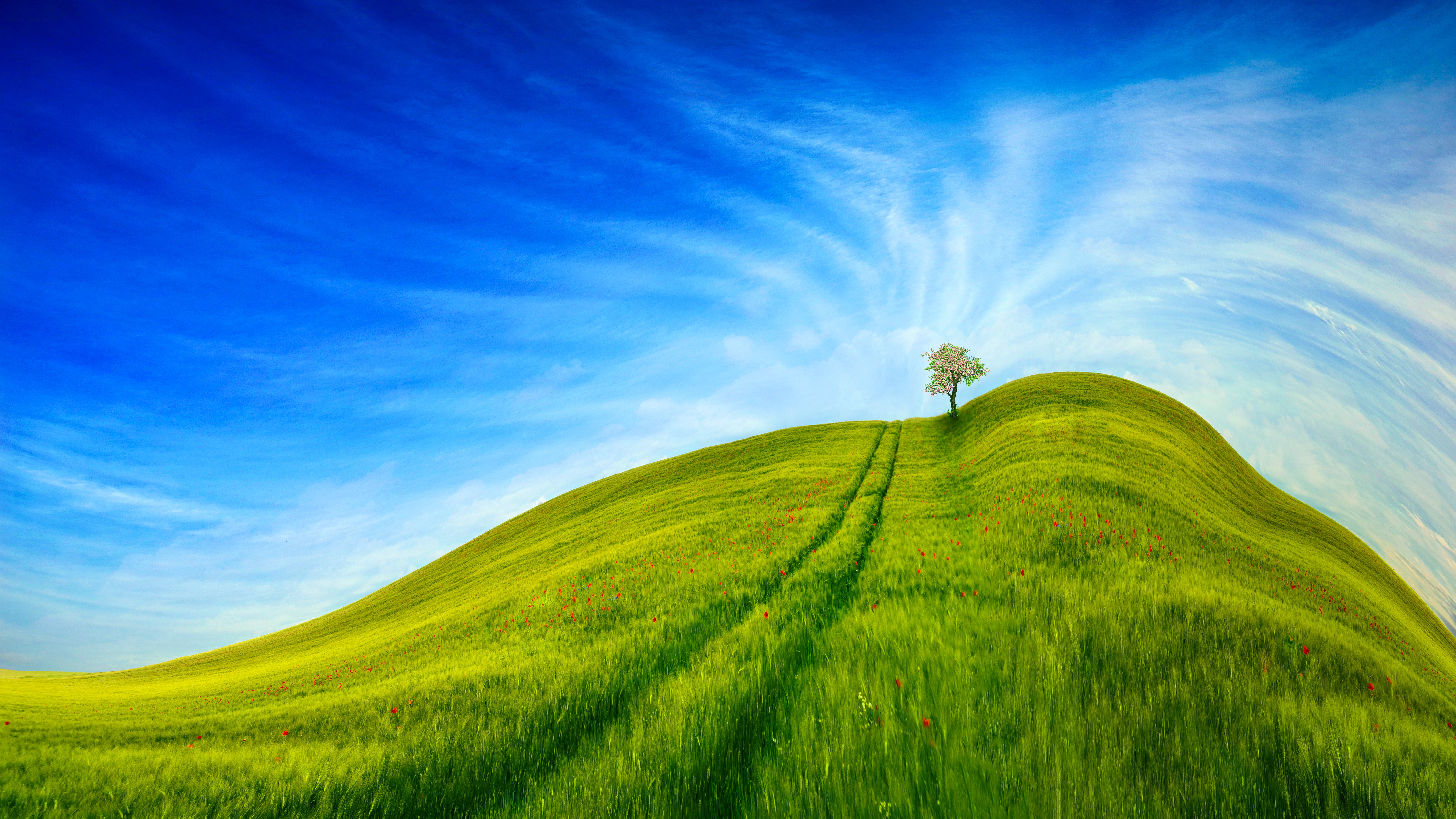 Download mobile wallpaper Tree, Wood, Grass, Sky, Hill, Road, Nature for free.
