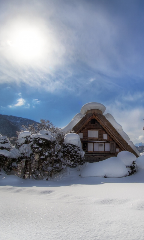 Скачать картинку Зима, Снег, Дерево, Япония, Сиракава, Сделано Человеком, Префектура Гифу в телефон бесплатно.