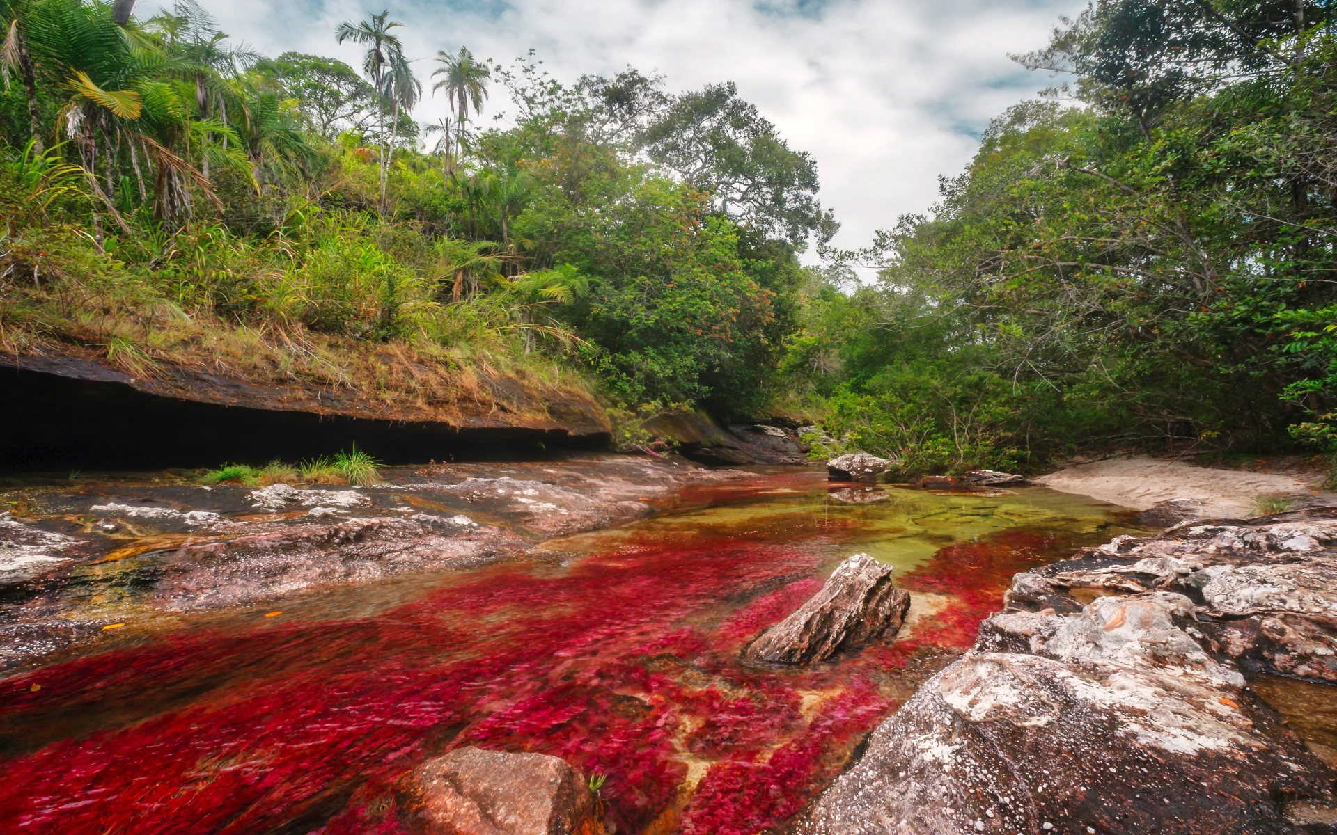 642360 télécharger le fond d'écran terre/nature, caño cristales - économiseurs d'écran et images gratuitement