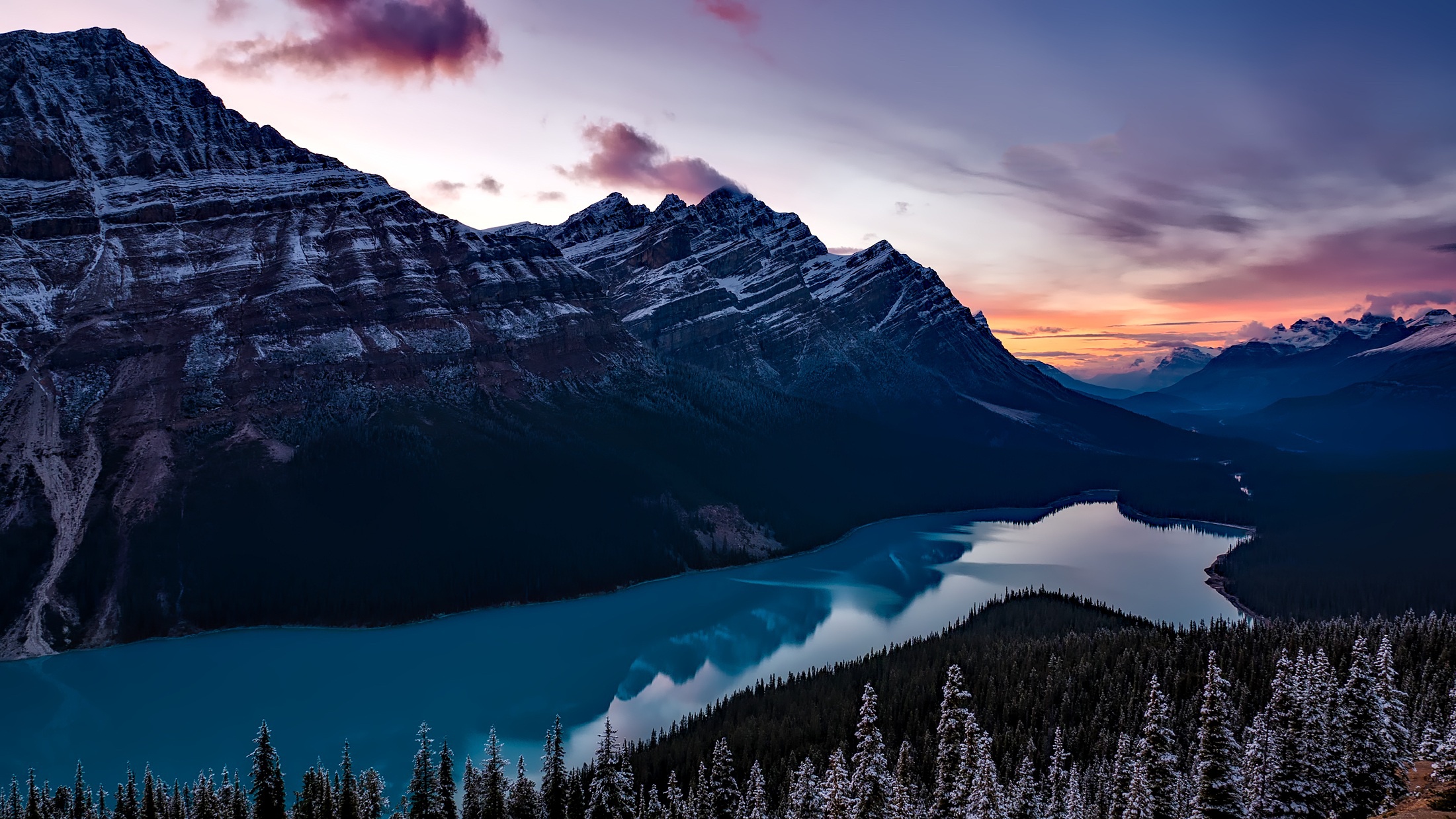Laden Sie das Landschaft, Natur, Seen, See, Kanada, Wald, Gebirge, Panorama, Erde/natur, Spiegelung, Peyto See-Bild kostenlos auf Ihren PC-Desktop herunter