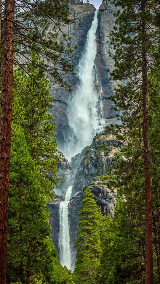 Download mobile wallpaper Waterfalls, Mountain, Waterfall, Forest, Tree, Earth, Yosemite National Park for free.