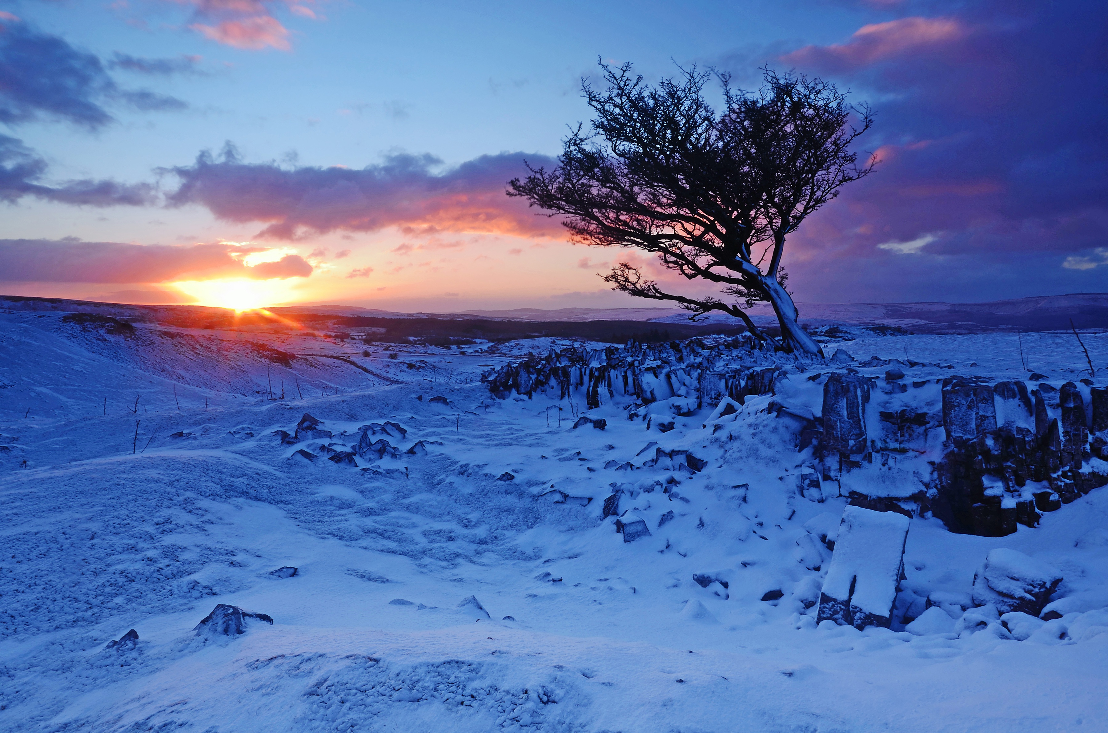 Free download wallpaper Landscape, Winter, Nature, Snow, Horizon, Tree, Sunrise, Earth, Lonely Tree on your PC desktop