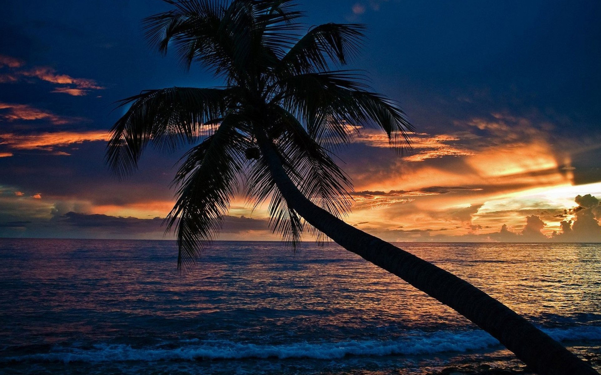Скачать картинку Закат, Пляж, Пальмы, Волна, Земля/природа в телефон бесплатно.