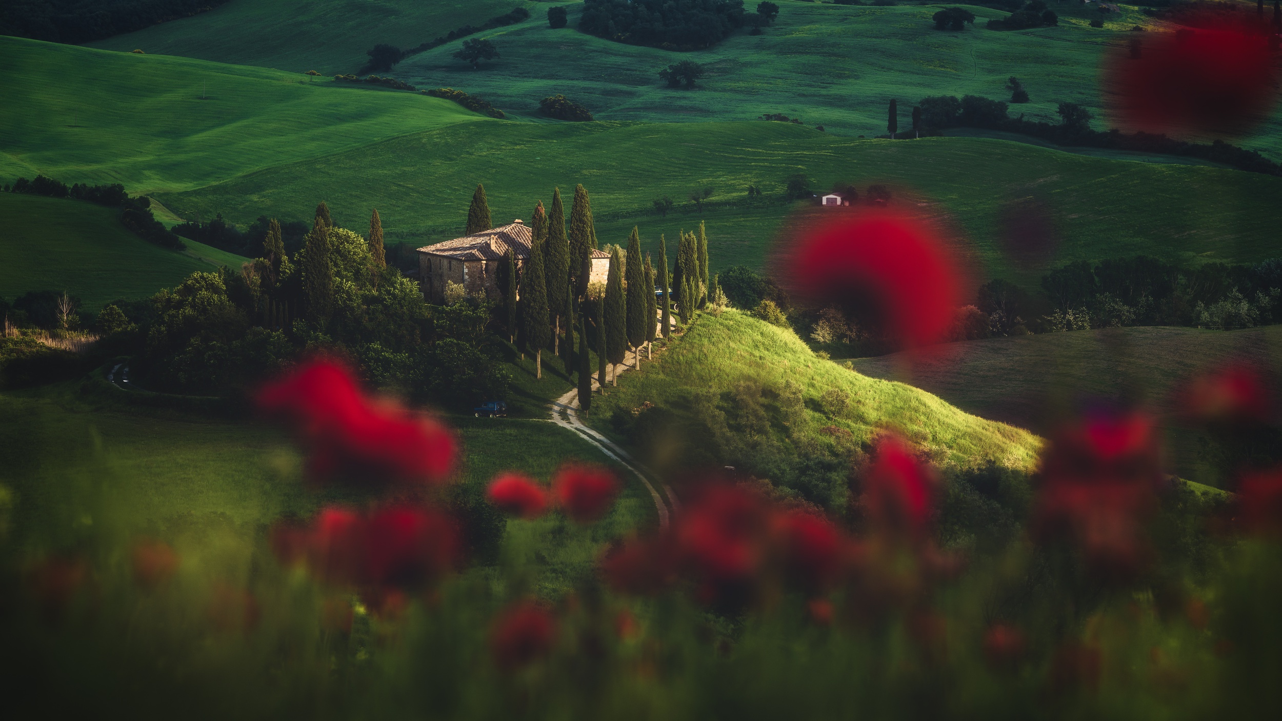 Laden Sie das Landschaft, Mohn, Italien, Fotografie, Toskana-Bild kostenlos auf Ihren PC-Desktop herunter