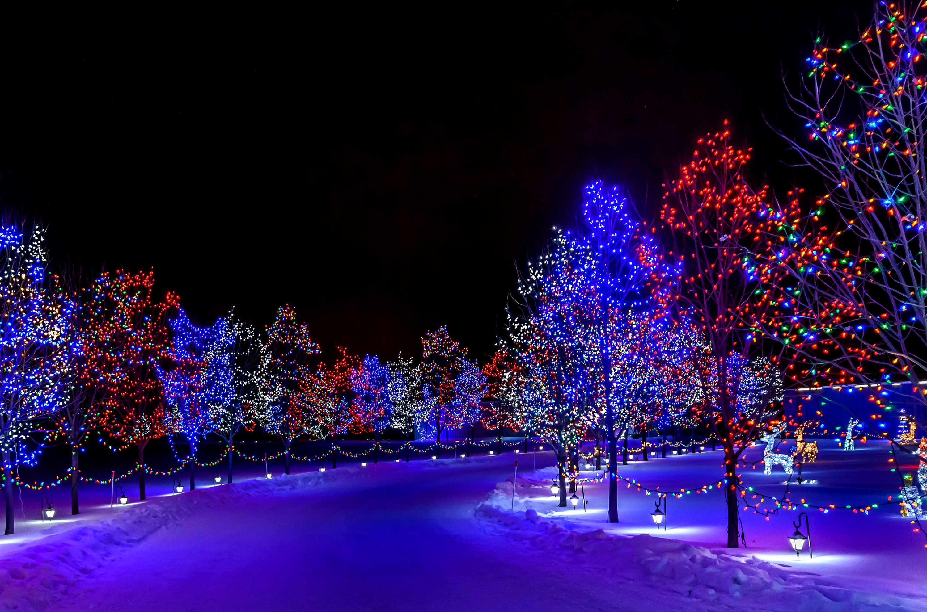 Baixe gratuitamente a imagem Natal, Luz, Árvore, Colorido, Feriados na área de trabalho do seu PC
