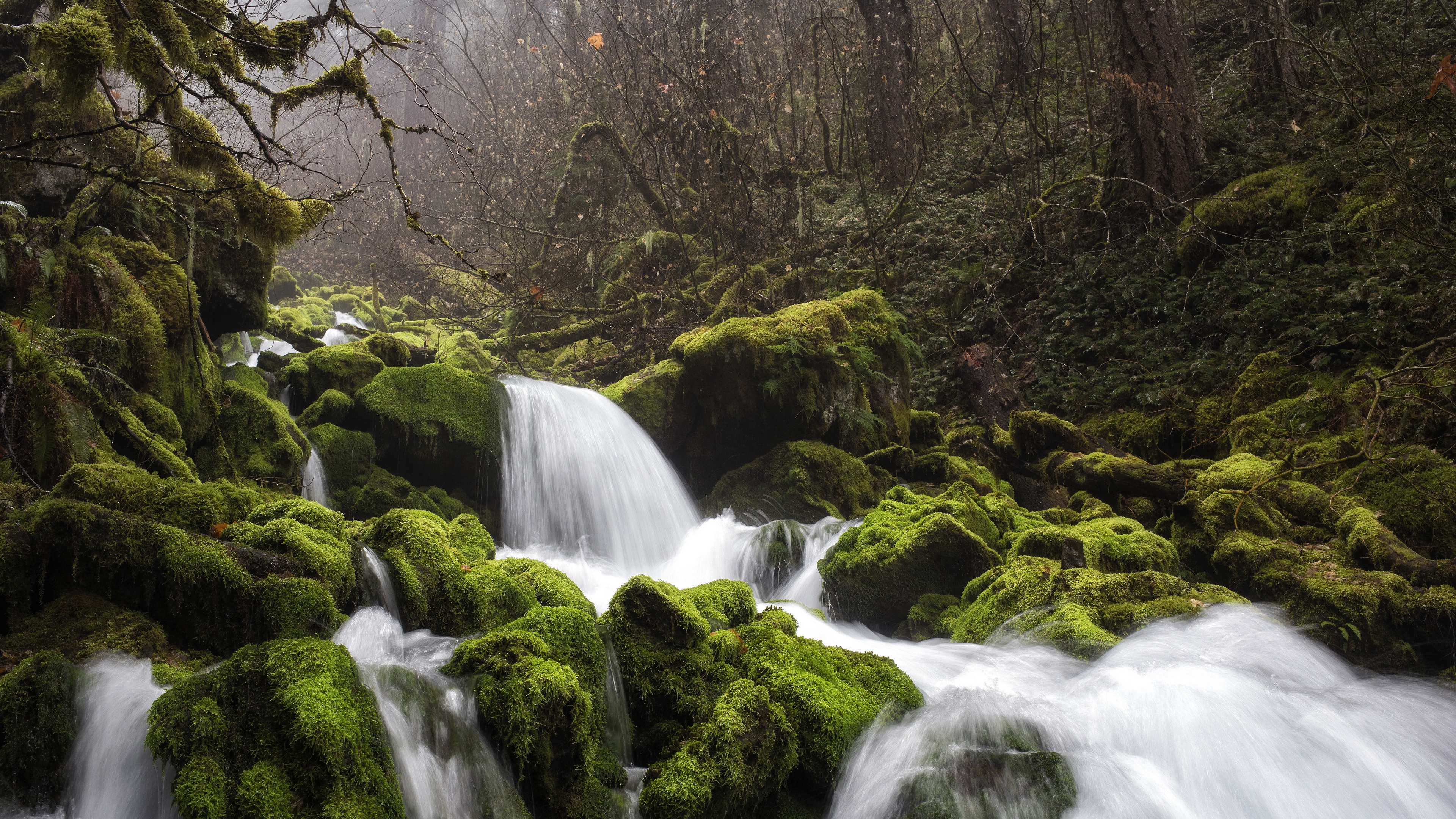 Descarga gratis la imagen Naturaleza, Musgo, Chorro, Tierra/naturaleza en el escritorio de tu PC