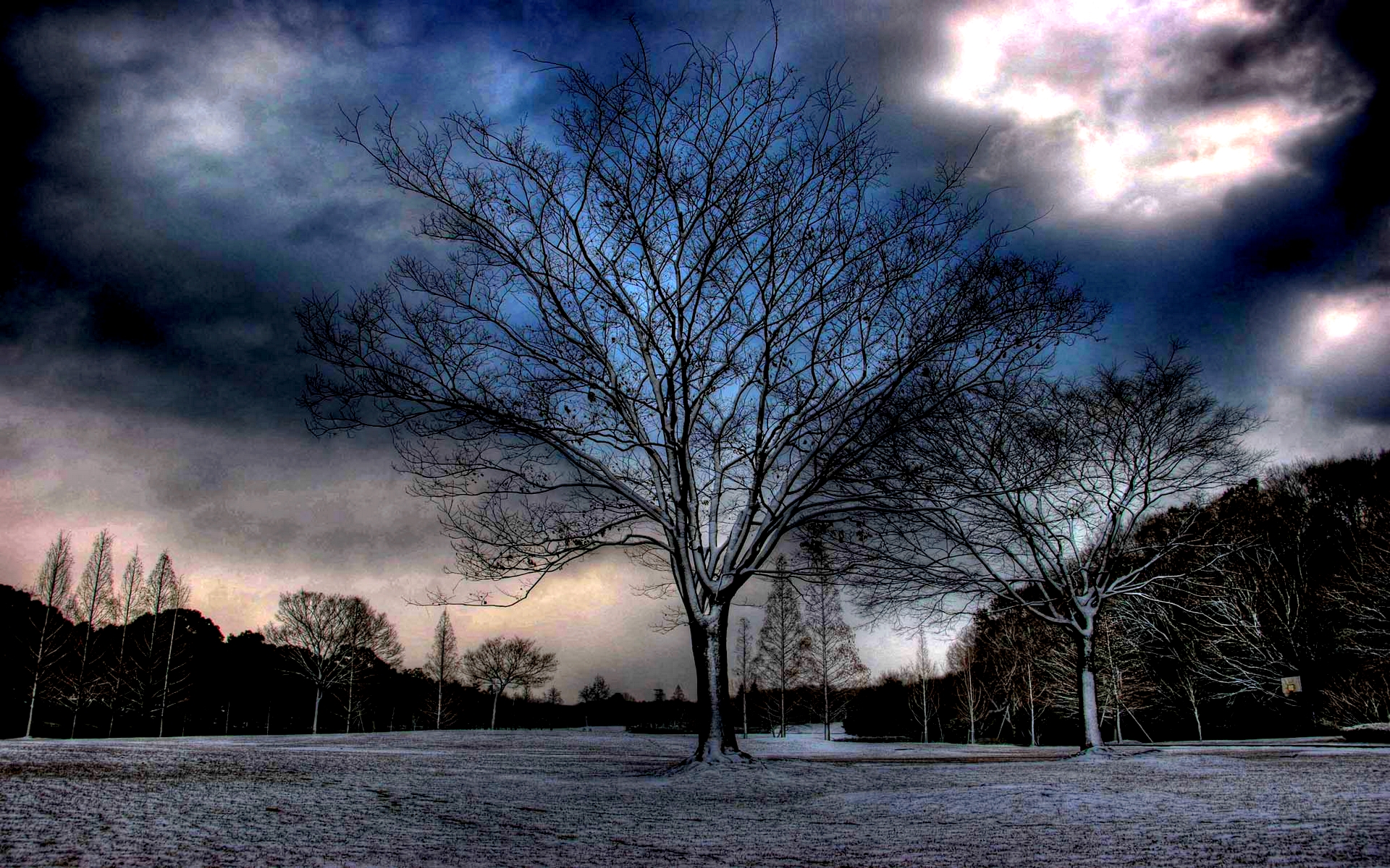Download mobile wallpaper Winter, Trees, Snow, Tree, Earth, Dusk for free.