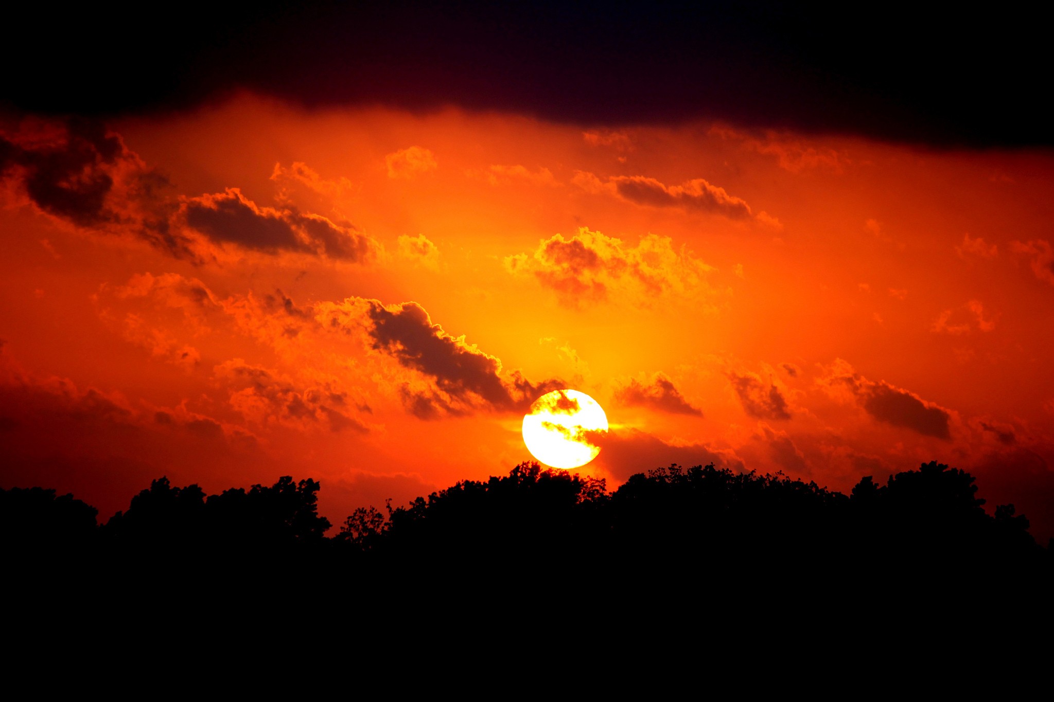 Download mobile wallpaper Sunset, Sky, Sun, Silhouette, Tree, Earth, Orange (Color) for free.