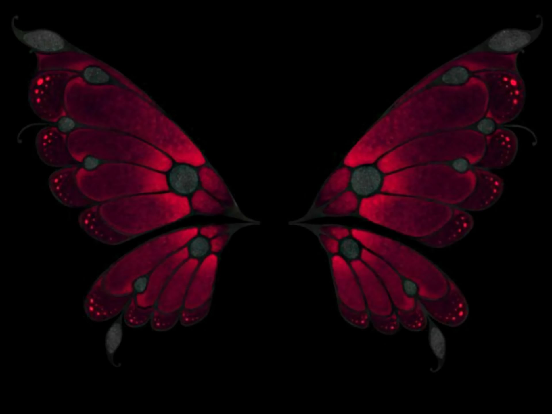 Laden Sie das Schmetterling, Flügel, Künstlerisch-Bild kostenlos auf Ihren PC-Desktop herunter