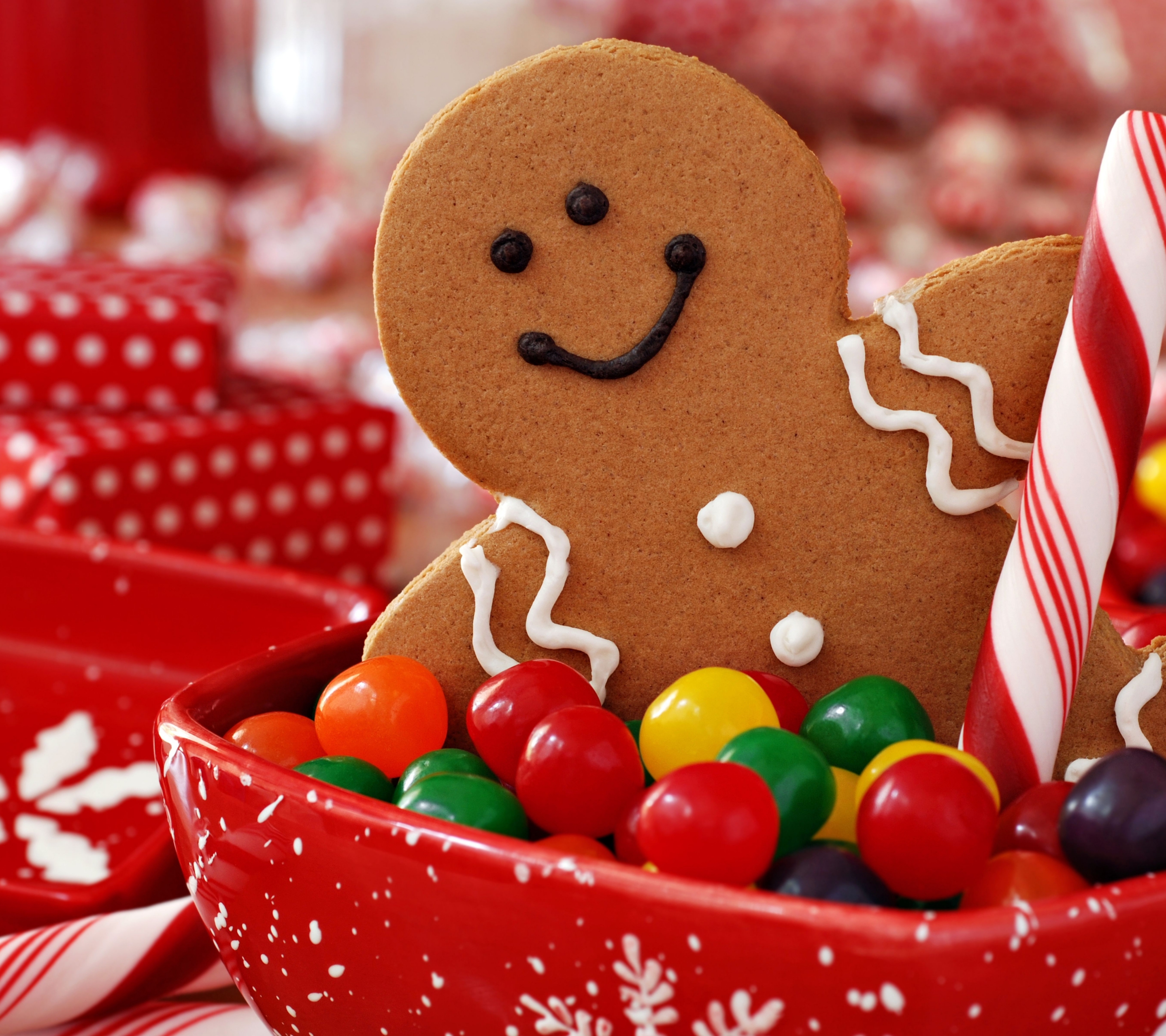Free download wallpaper Christmas, Holiday, Candy, Gingerbread, Cookie, Candy Cane on your PC desktop