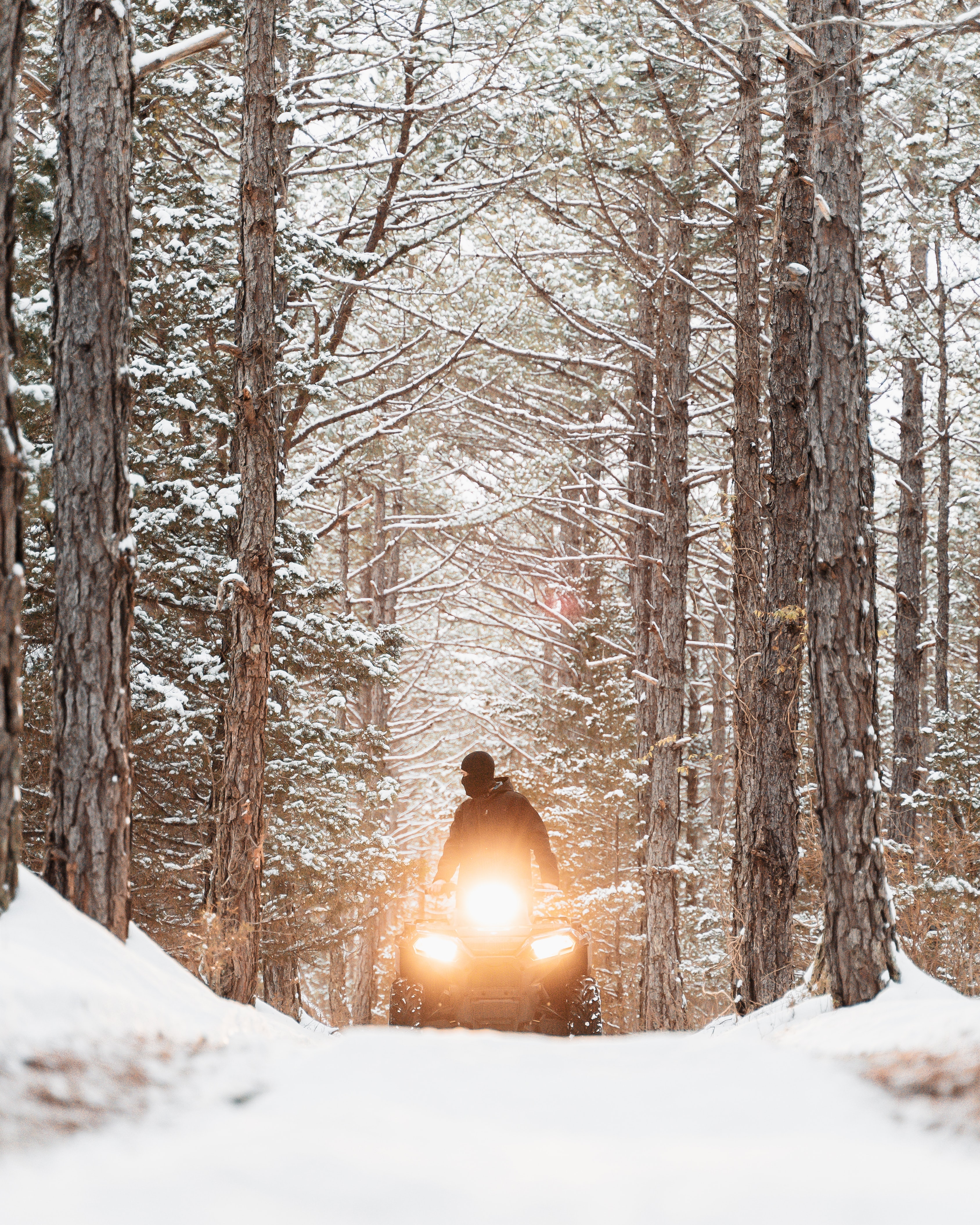 winter, snow, motorcycles, black, forest, human, person, snowmobile