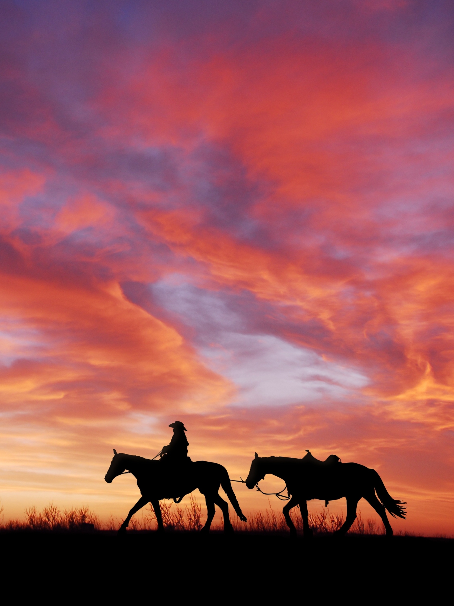 Download mobile wallpaper Sunset, Sky, Silhouette, Cloud, Horse, Photography, Cowboy for free.