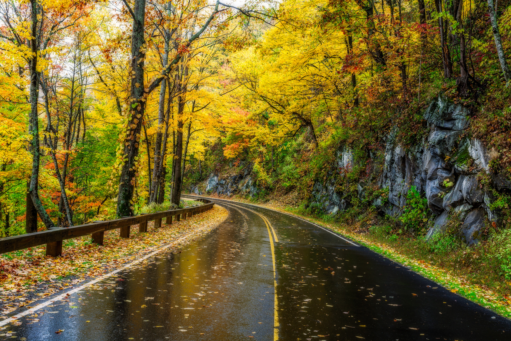 Free download wallpaper Rain, Road, Forest, Tree, Leaf, Fall, Man Made on your PC desktop