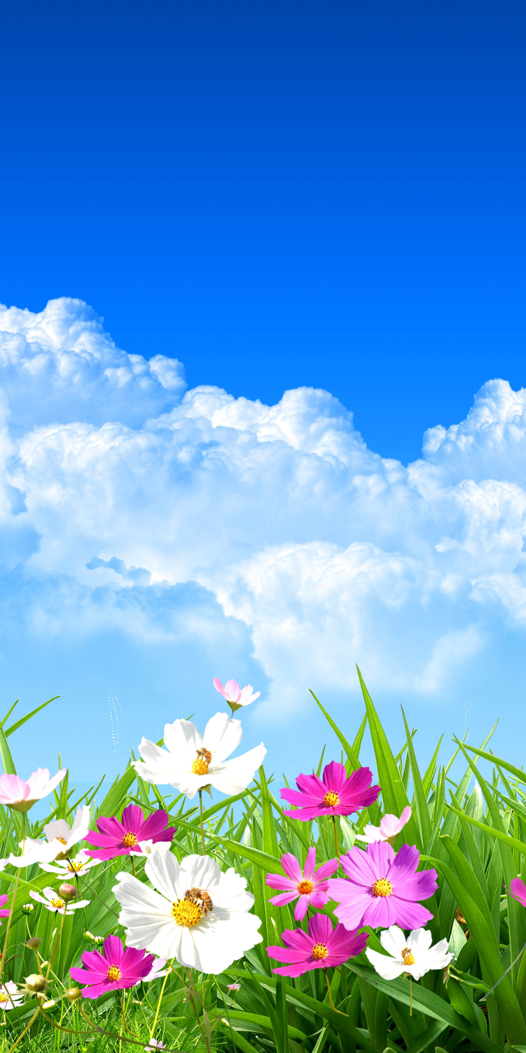 Download mobile wallpaper Grass, Spring, Artistic, Cloud, Cosmos for free.