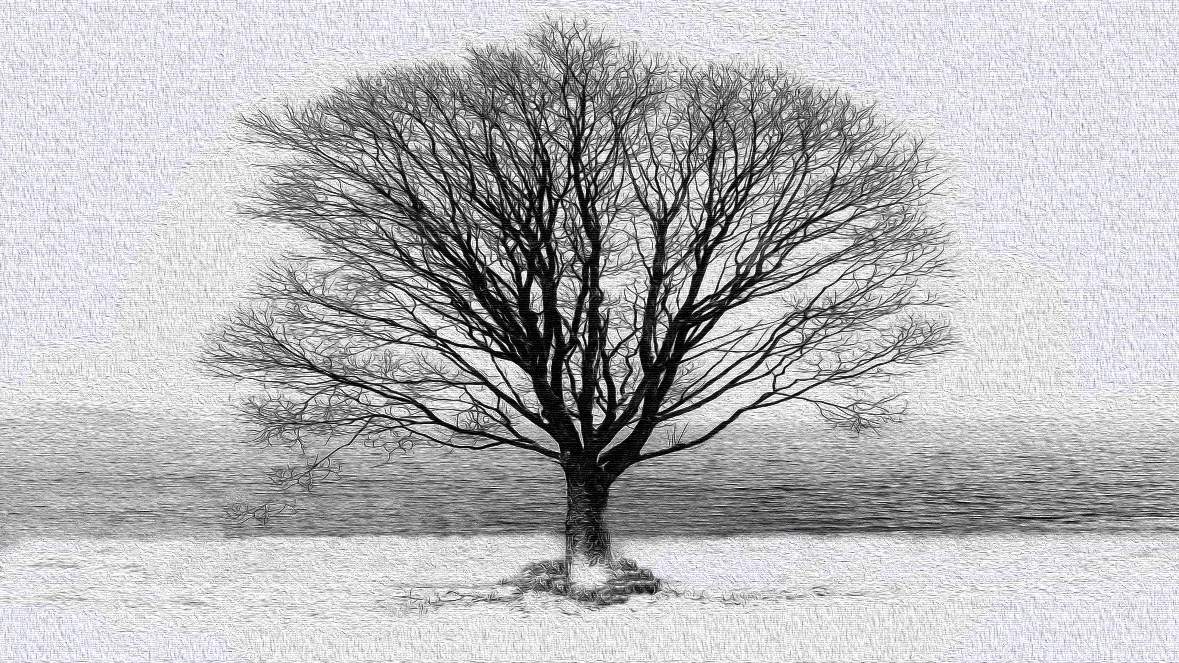 Download mobile wallpaper Winter, Tree, Earth for free.