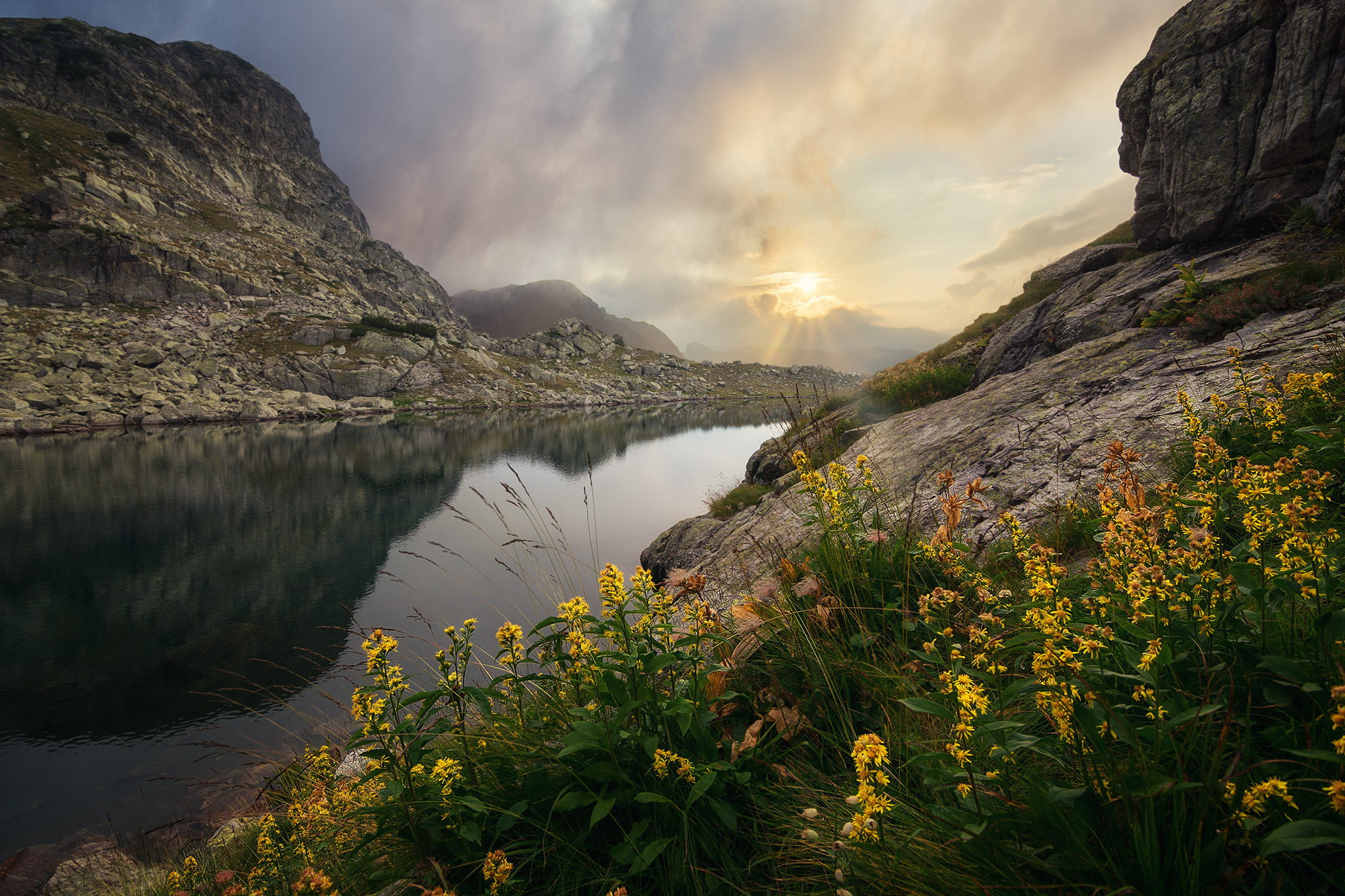 Laden Sie das Seen, See, Blume, Gebirge, Erde/natur-Bild kostenlos auf Ihren PC-Desktop herunter