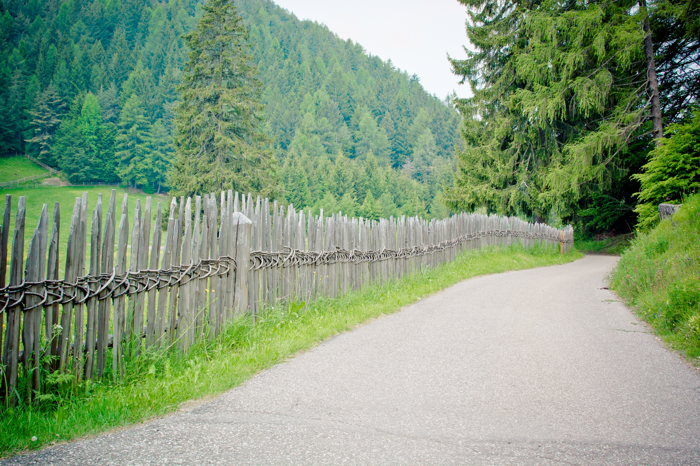 Download mobile wallpaper Fence, Nature, Road, Trees, Summer for free.