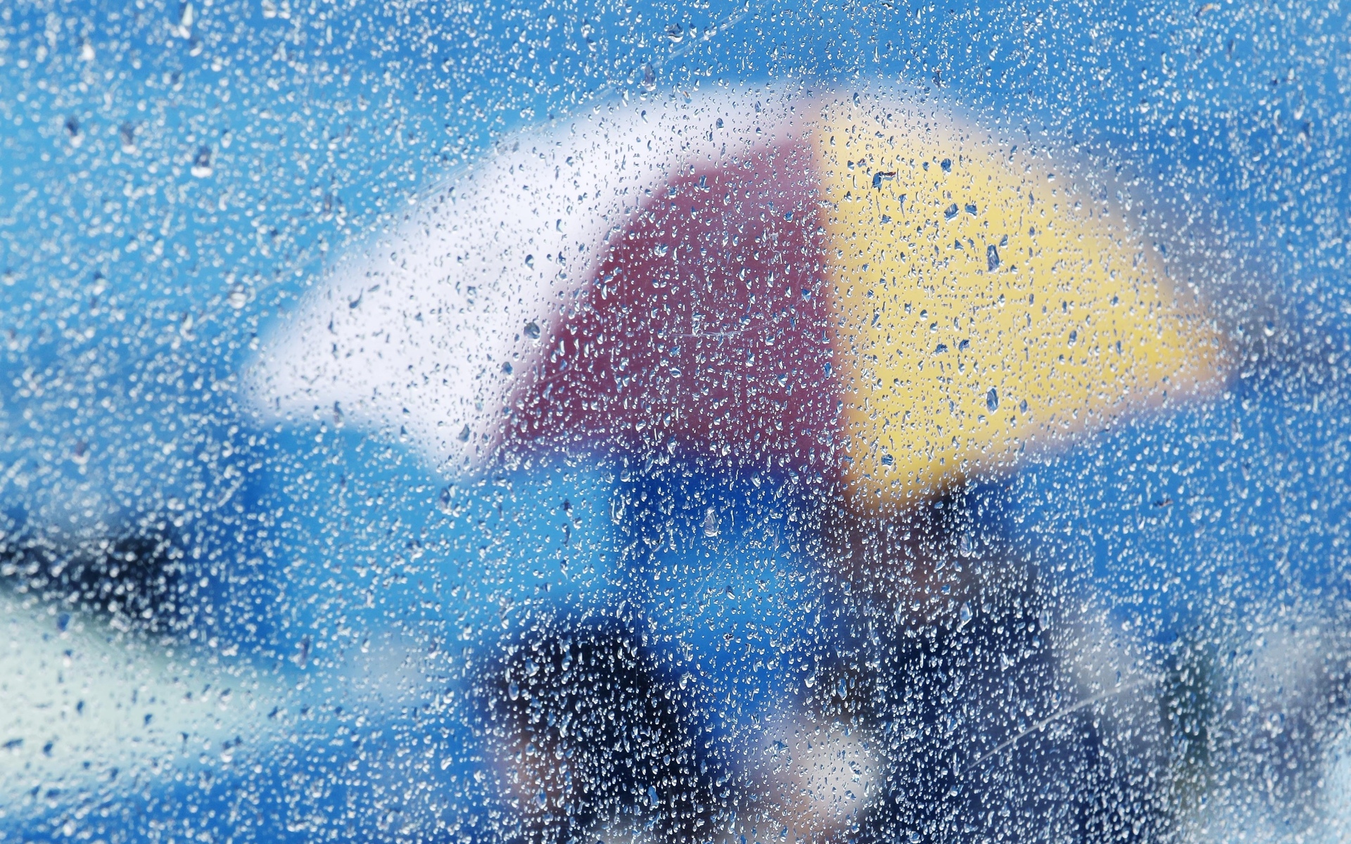 photography, rain, fall, season, umbrella, water drop
