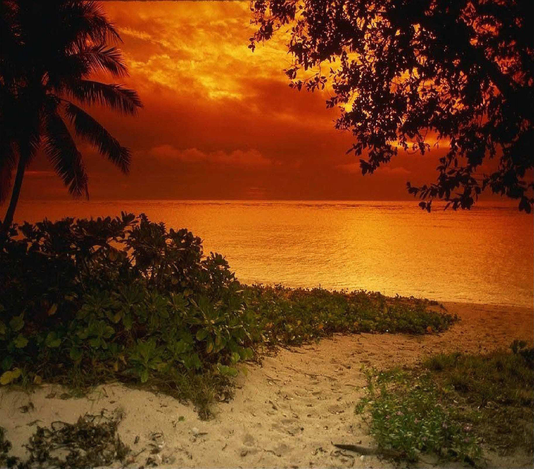 Laden Sie das Strand, Baum, Ozean, Erde, Weg, Meer, Himmel, Sonnenuntergang, Erde/natur-Bild kostenlos auf Ihren PC-Desktop herunter