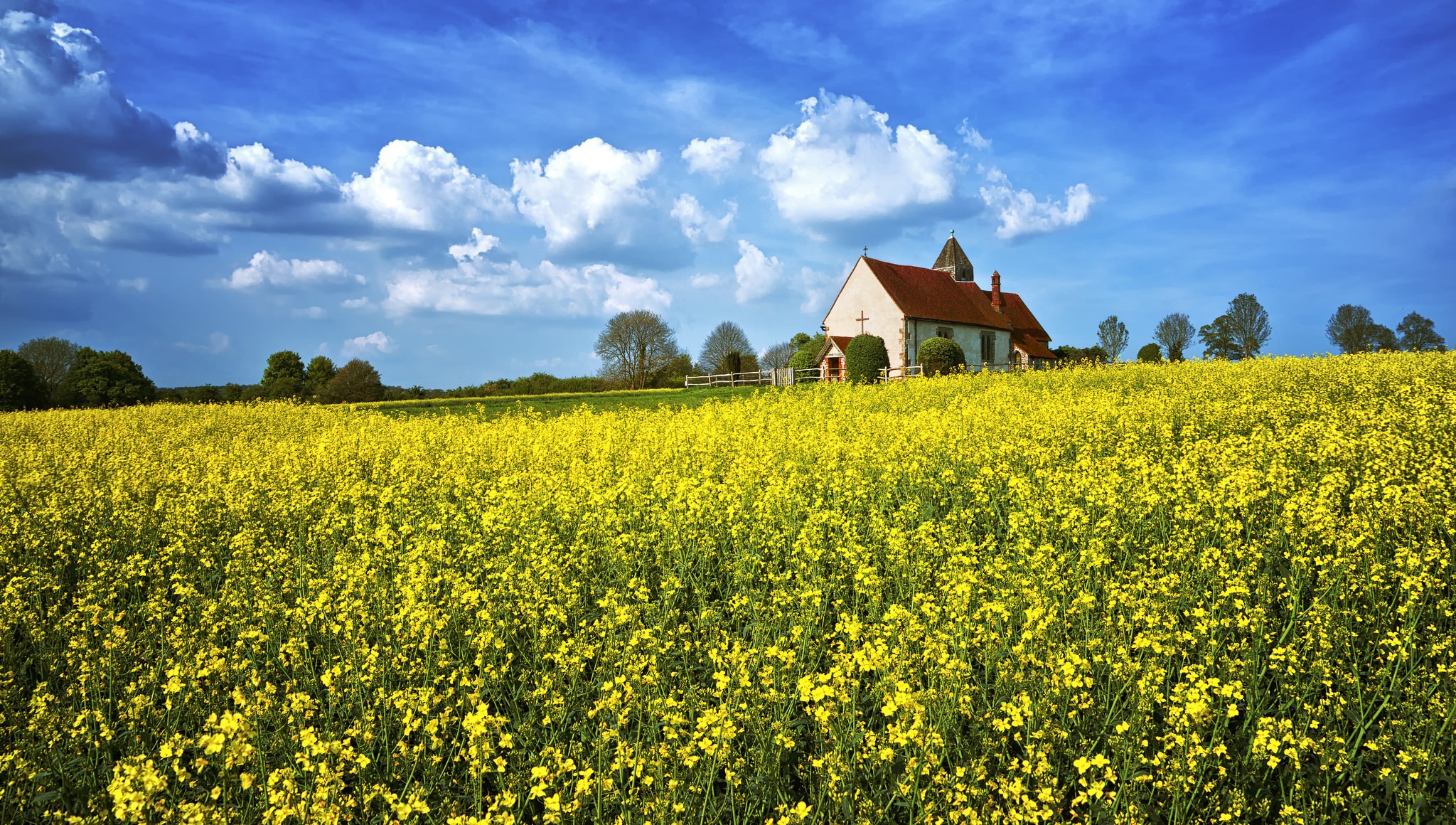 Download mobile wallpaper Church, Churches, Religious, Rapeseed for free.