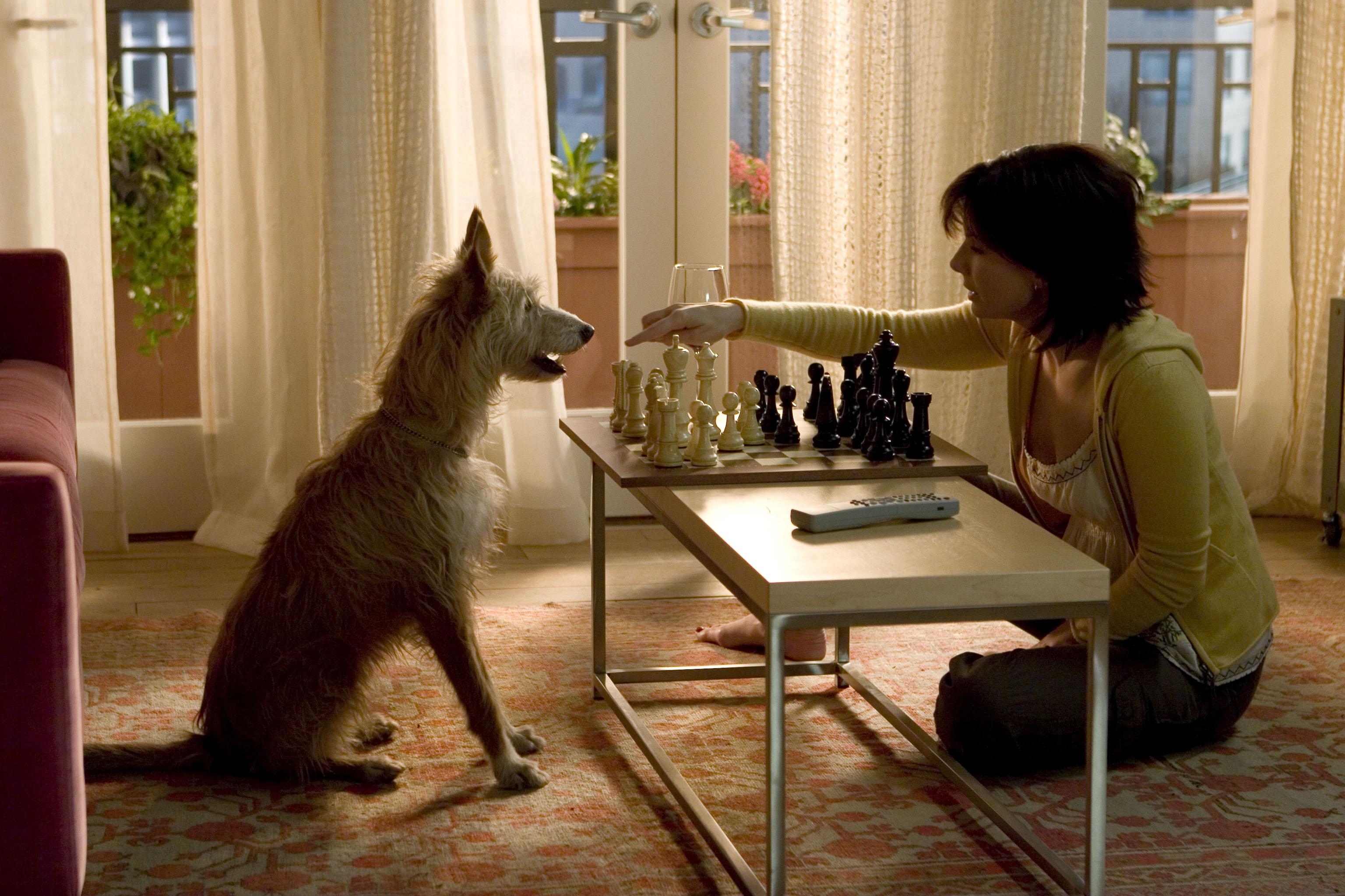 Descarga gratuita de fondo de pantalla para móvil de Películas, Sandra Bullock, La Casa Del Lago.