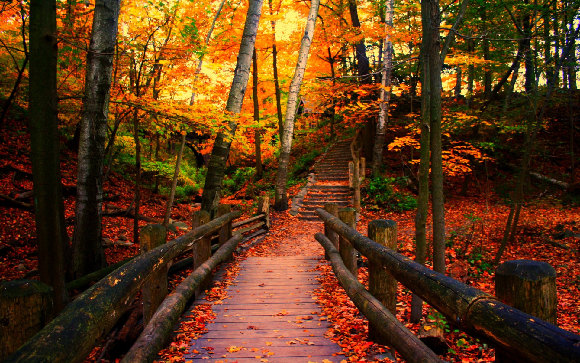 PCデスクトップに木, 秋, 道, 森, 公園, マンメイド画像を無料でダウンロード