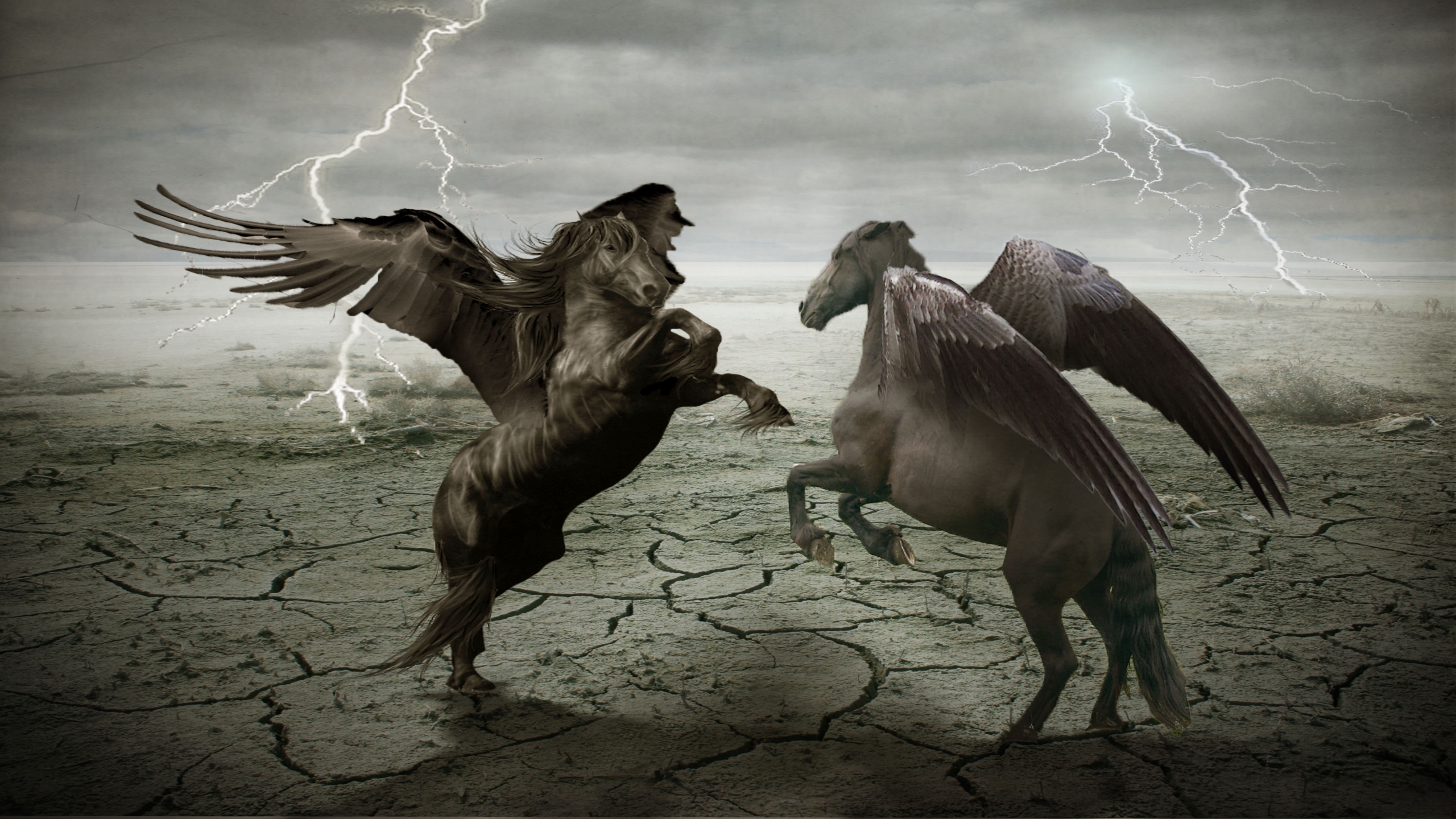 Download mobile wallpaper Pegasus, Fantasy Animals, Fantasy for free.