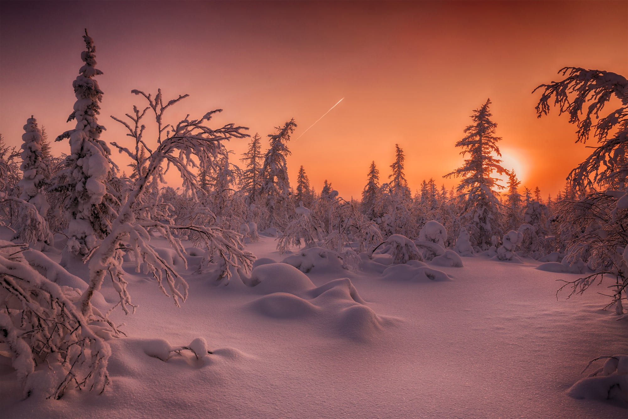 Download mobile wallpaper Winter, Sunset, Sky, Sun, Snow, Forest, Earth, Fir Tree for free.