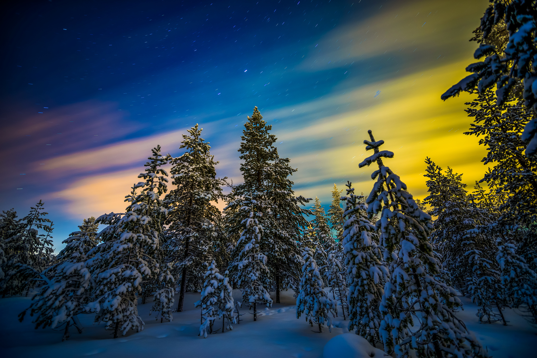 Download mobile wallpaper Winter, Sunset, Sky, Snow, Forest, Tree, Earth for free.