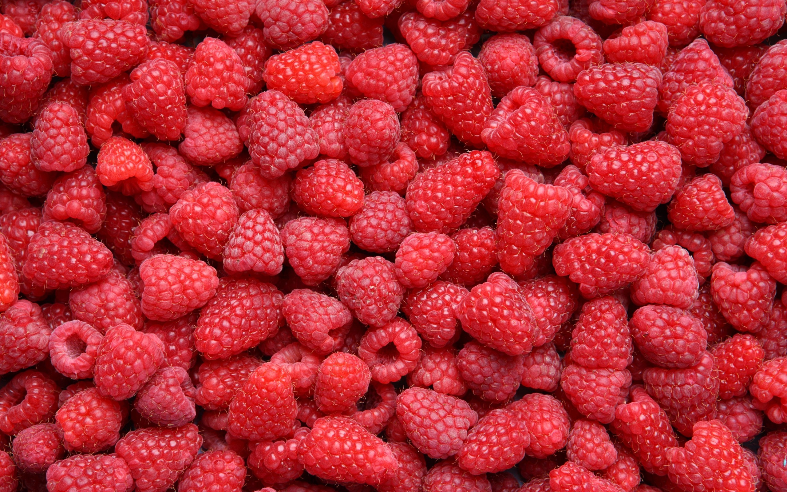 food, raspberry, fruits