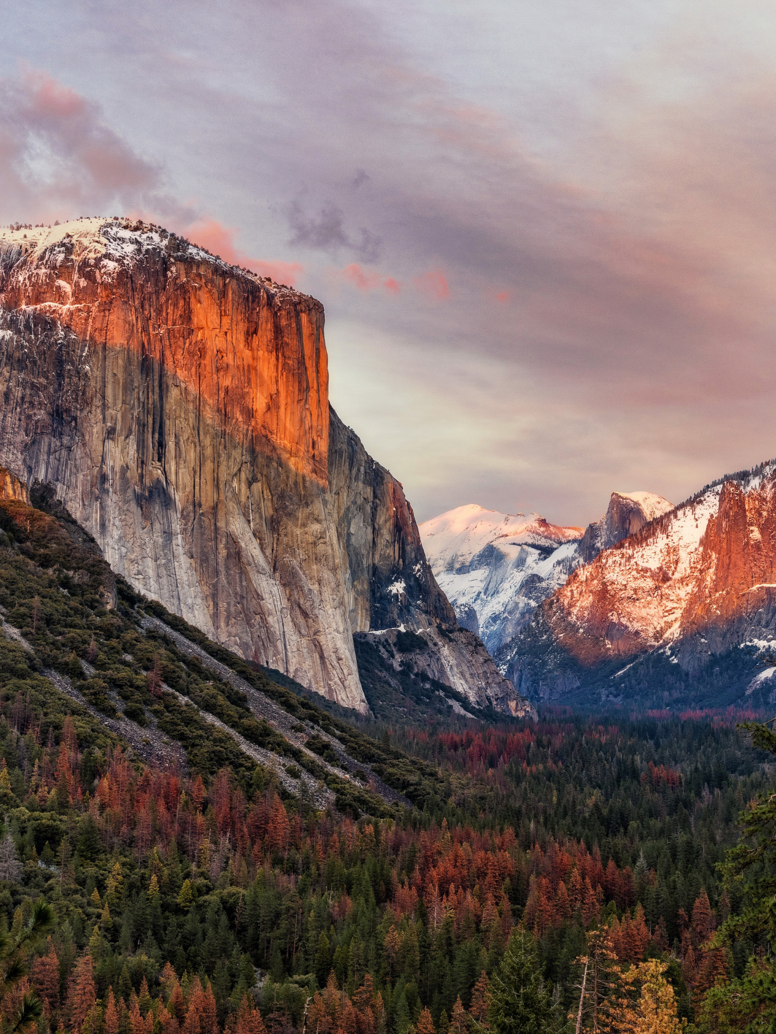Descarga gratuita de fondo de pantalla para móvil de Naturaleza, Montaña, Bosque, Acantilado, Parque Nacional, Parque Nacional De Yosemite, Tierra/naturaleza.