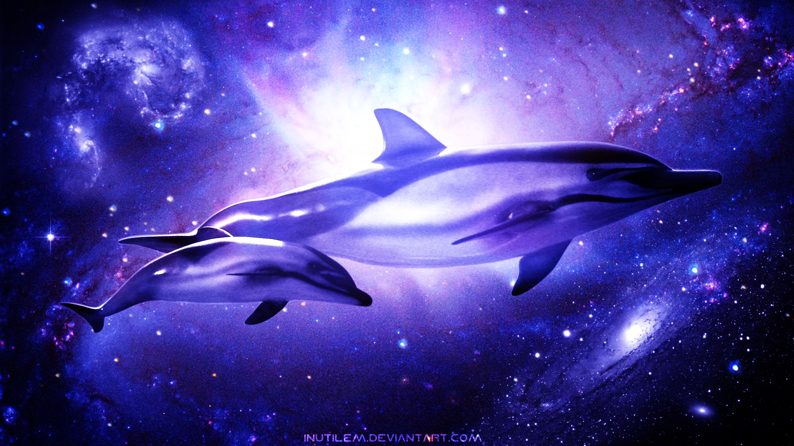 Descarga gratuita de fondo de pantalla para móvil de Animales, Galaxia, Delfin.