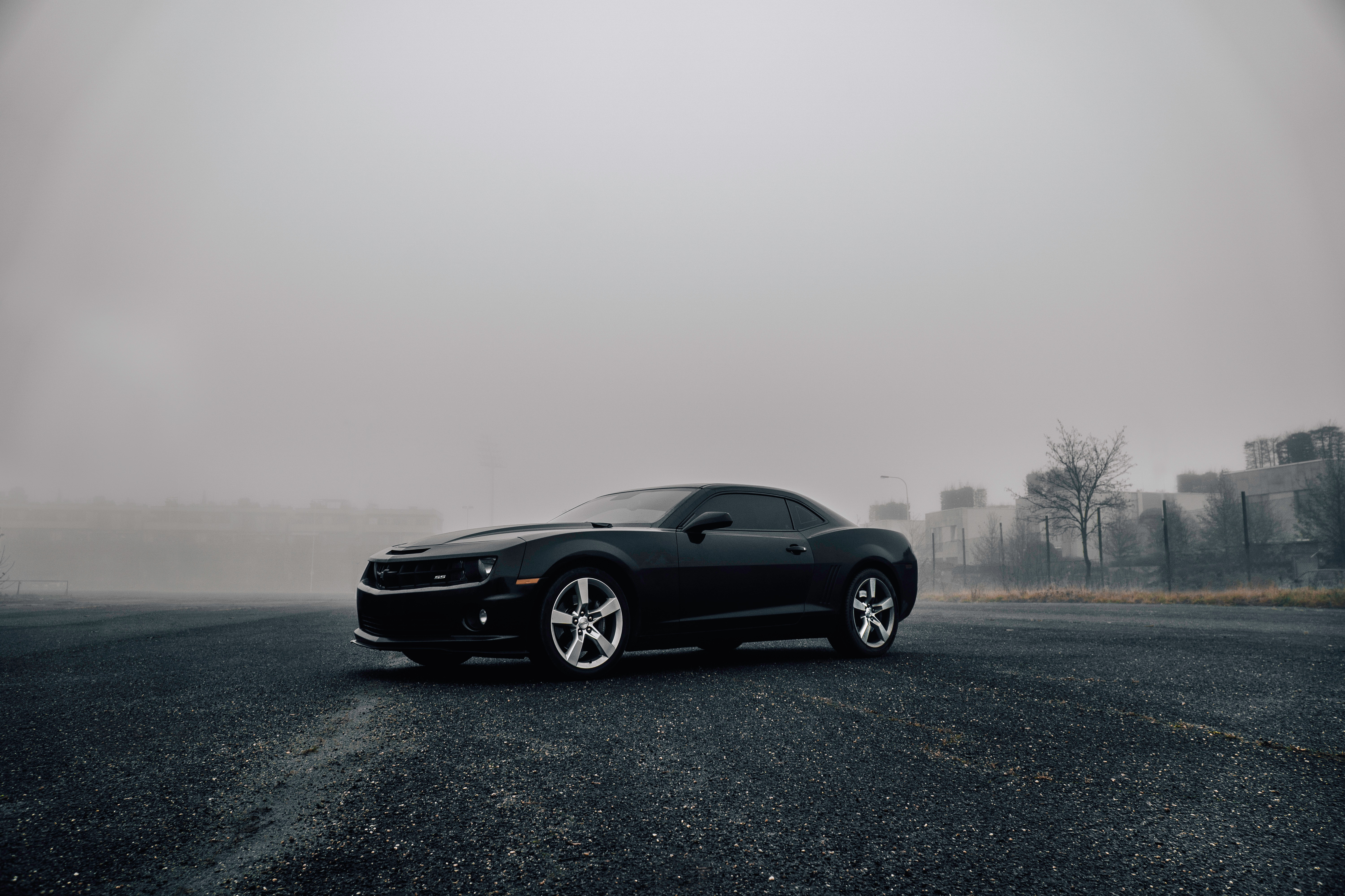 chevrolet camaro, cars, chevrolet, fog, side view