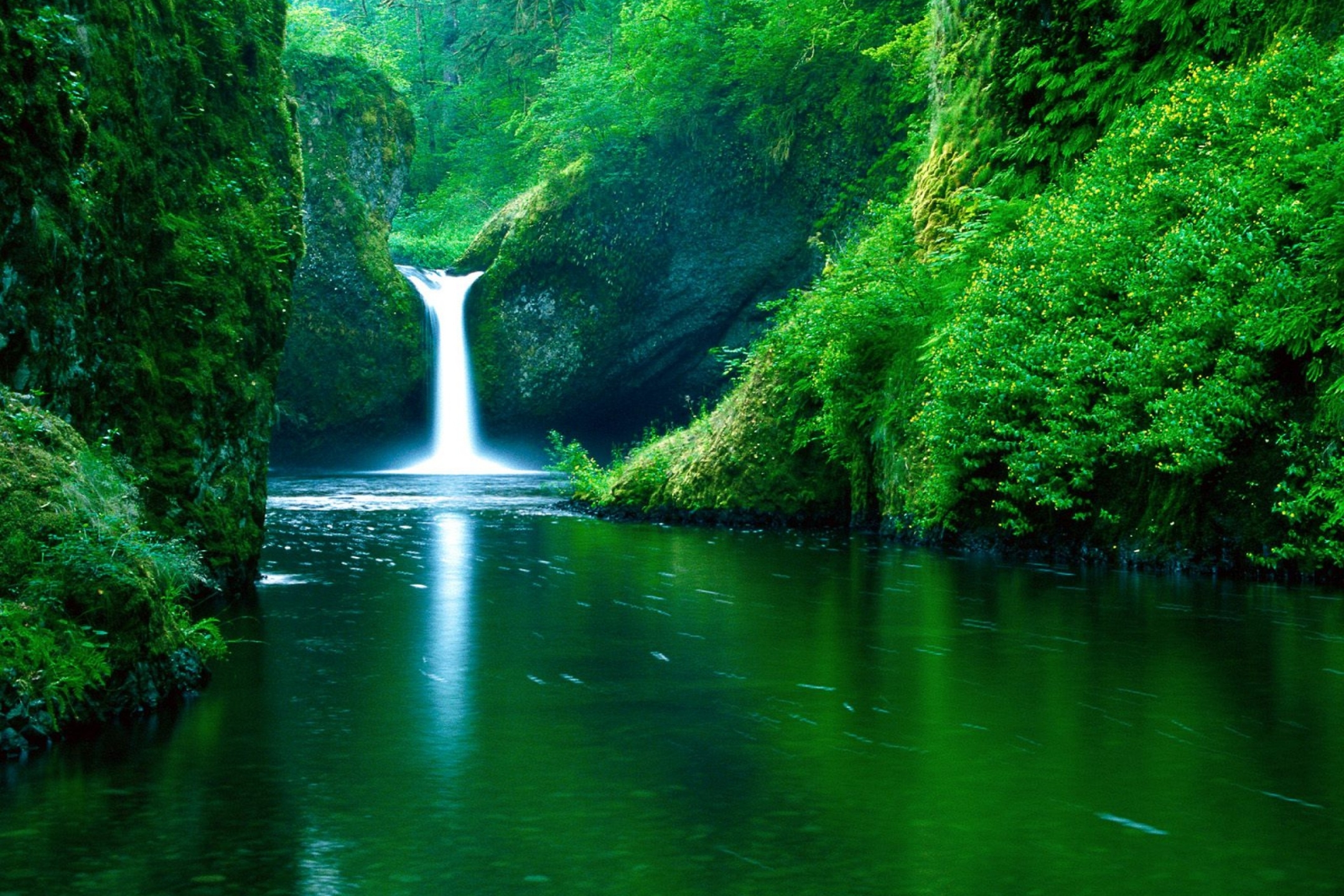 Скачать картинку Природа, Вода, Водопады, Водопад, Зелень, Земля/природа в телефон бесплатно.