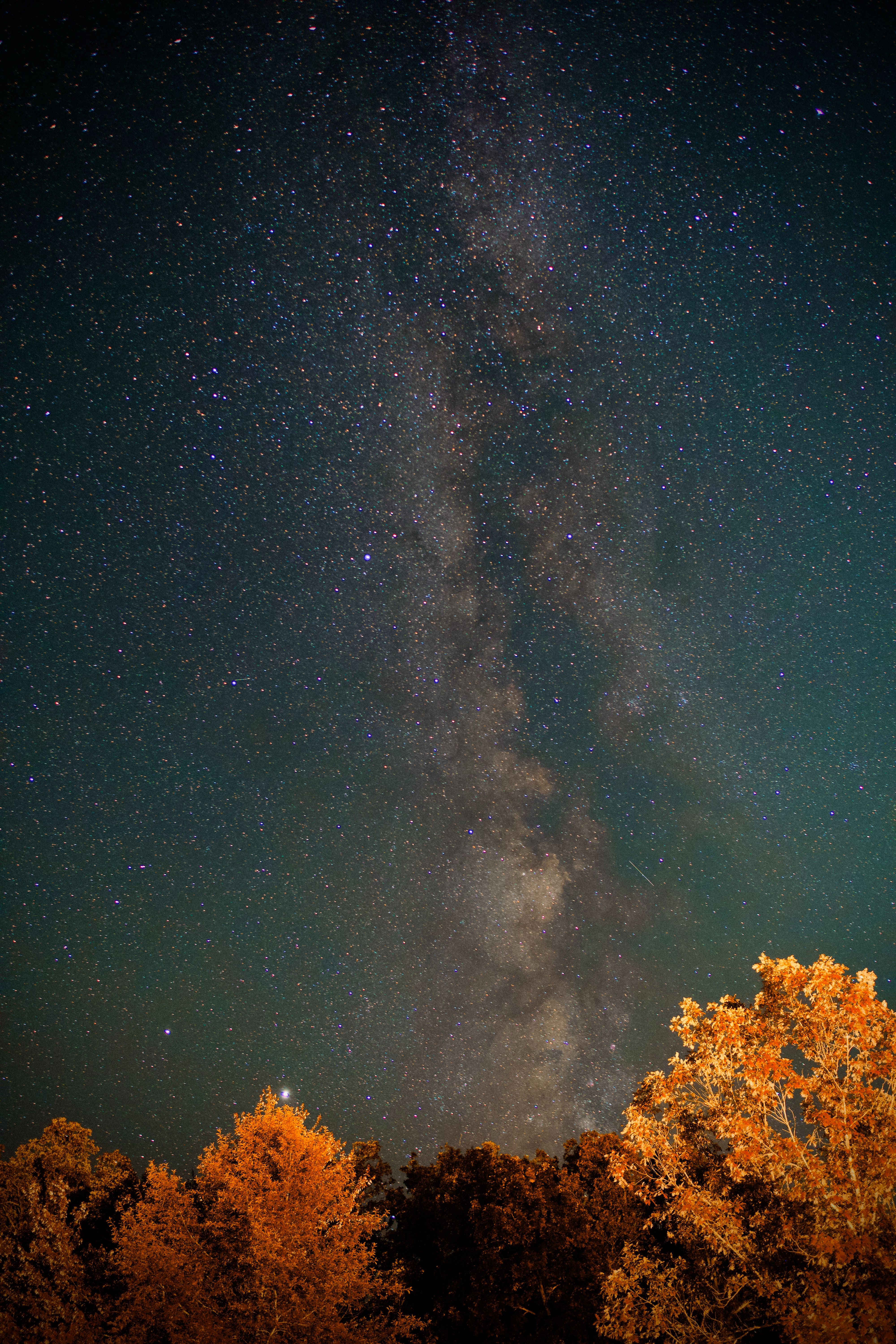 Download mobile wallpaper Stars, Trees, Nature, Starry Sky, Nebula, Night for free.