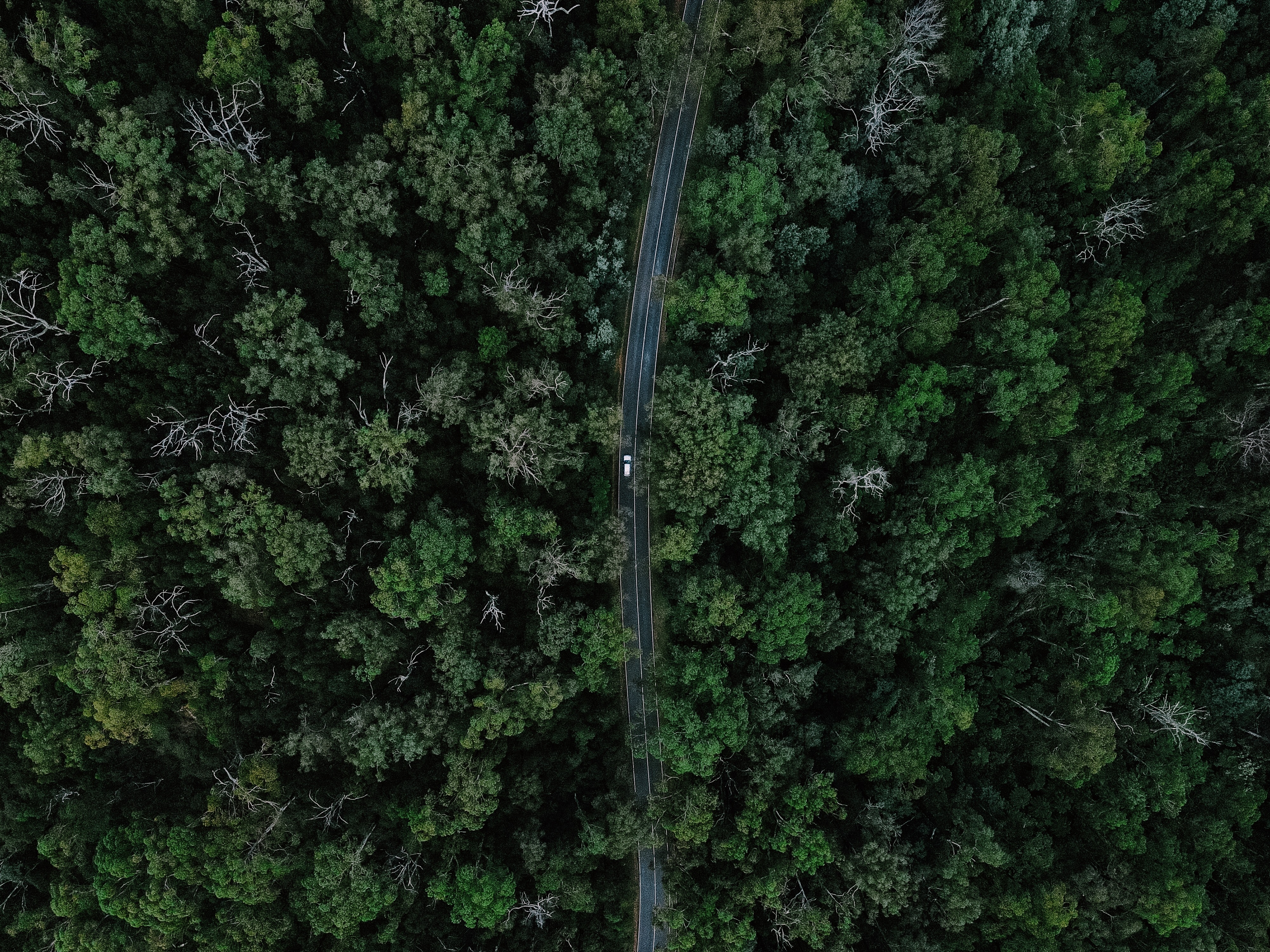 Download mobile wallpaper View From Above, Road, Forest, Miscellanea, Miscellaneous, Car for free.