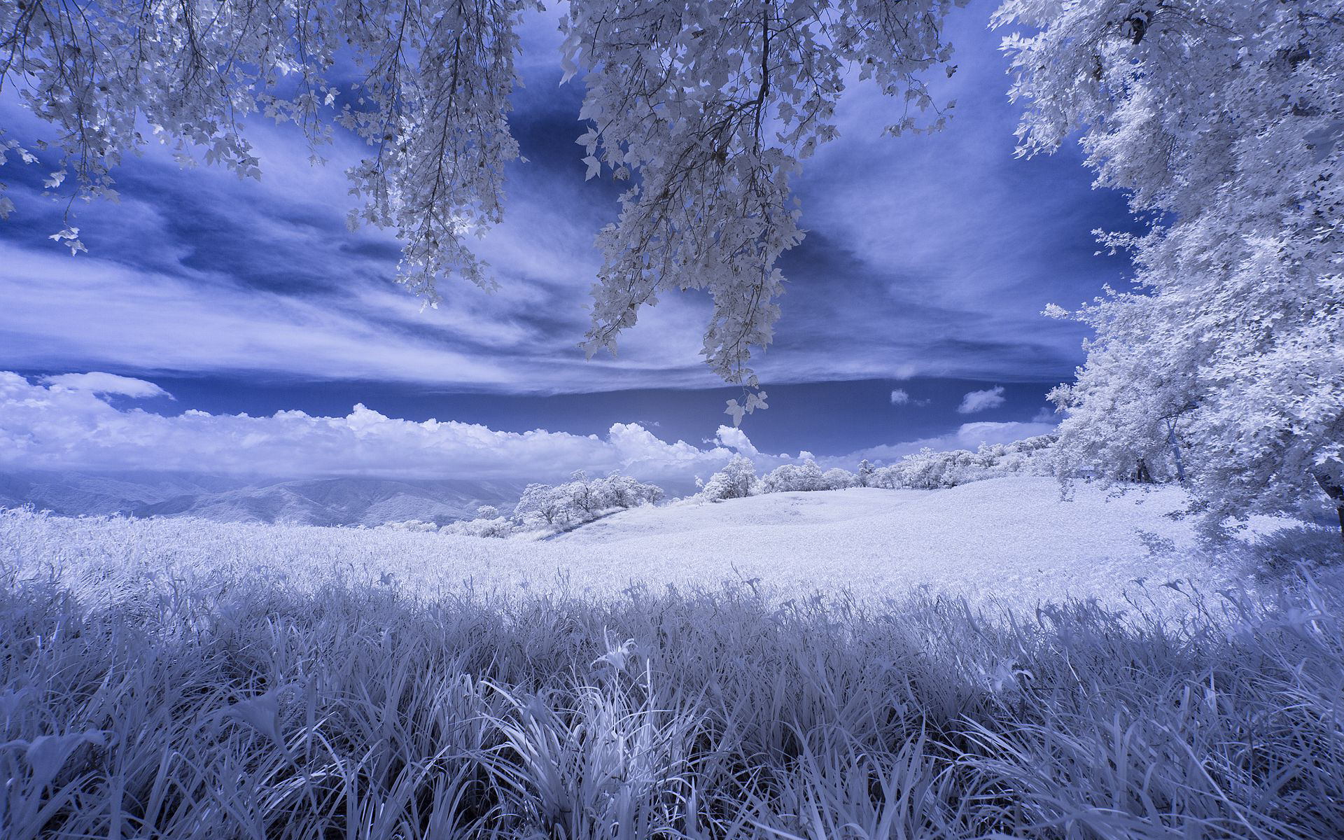 Download mobile wallpaper Landscape, Winter, Snow, Earth for free.