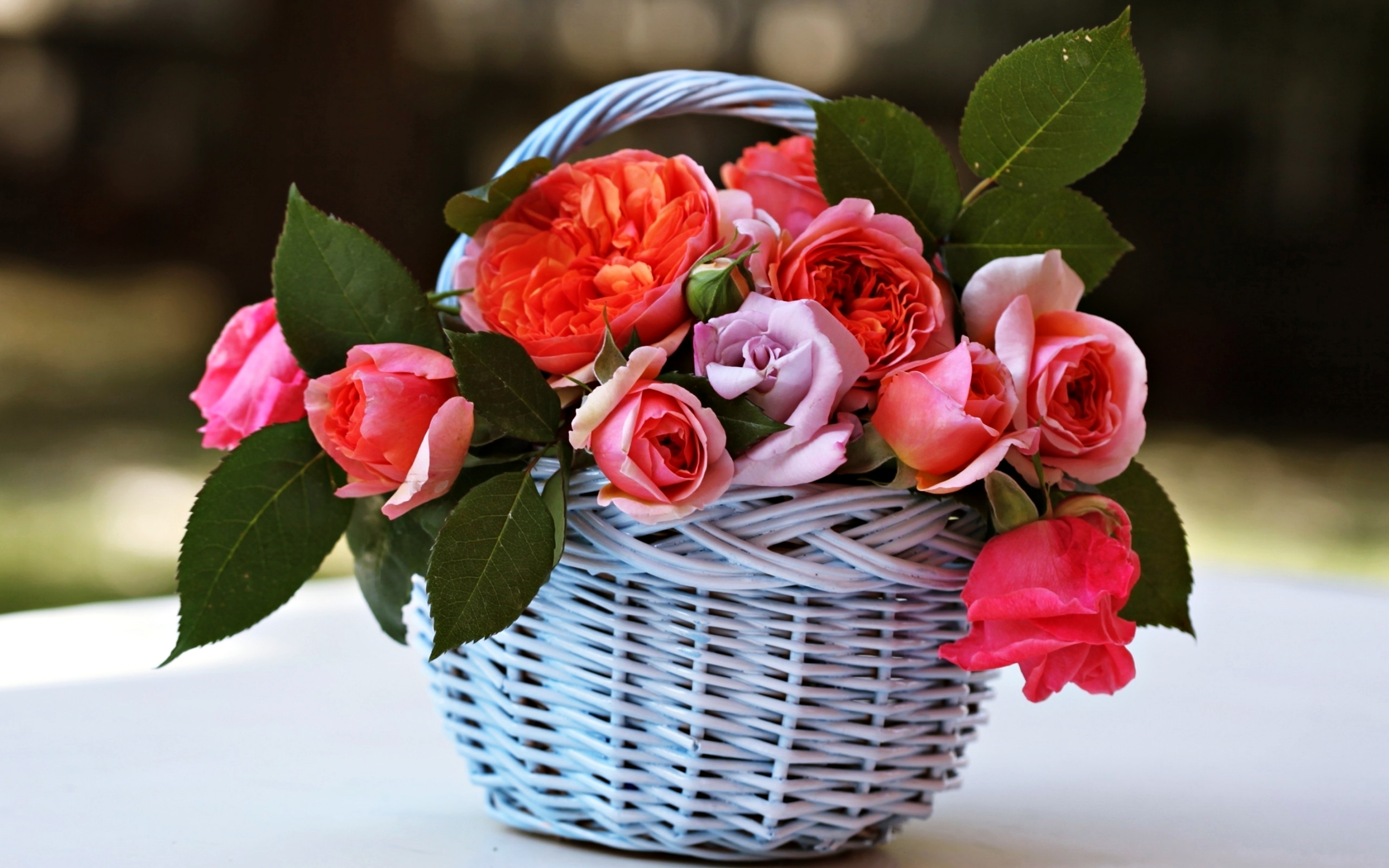 PCデスクトップに花, 薔薇, バスケット, マンメイド, ピンクの花画像を無料でダウンロード