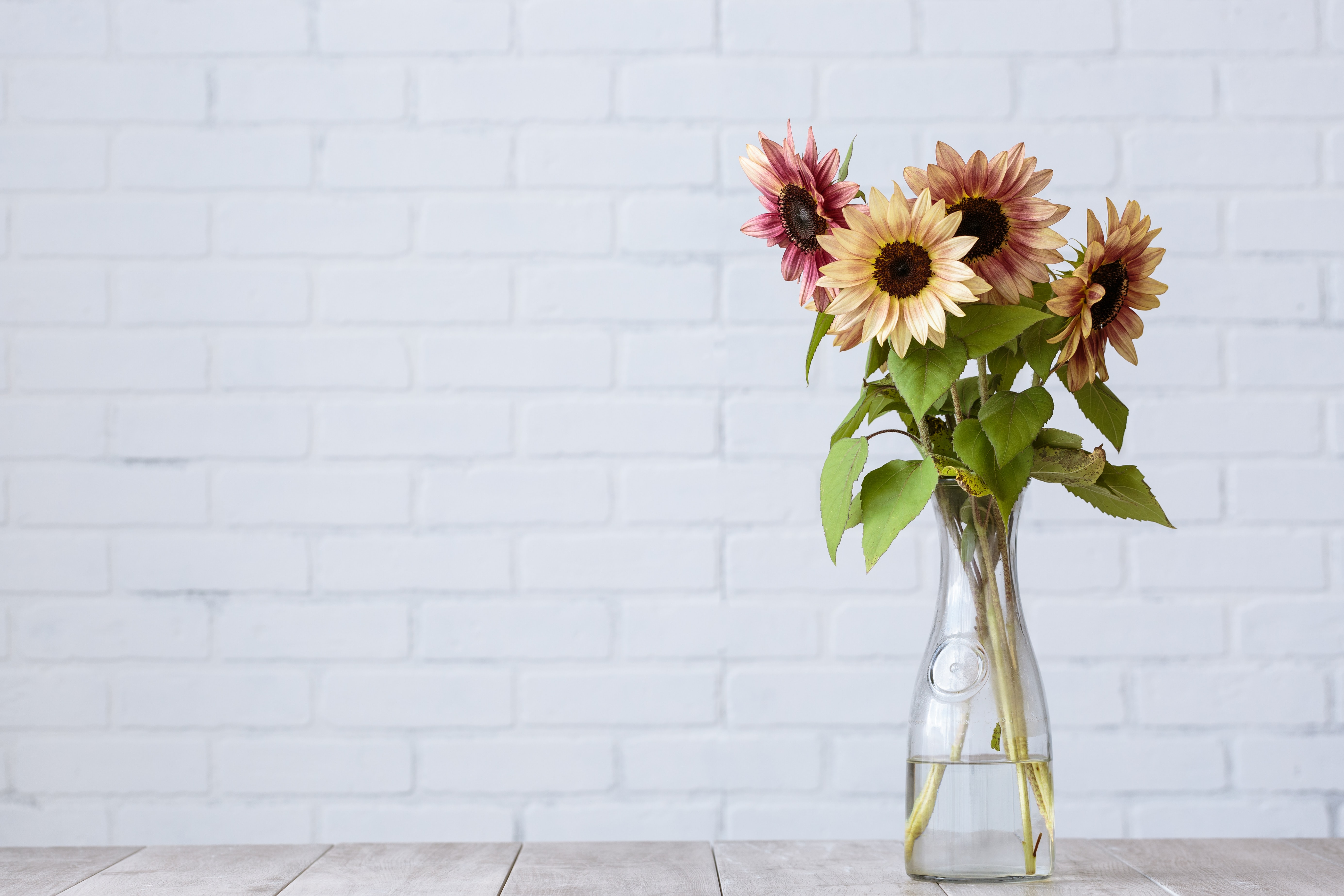 Laden Sie das Strauß, Vase, Blumen, Bouquet, Sonnenblume-Bild kostenlos auf Ihren PC-Desktop herunter