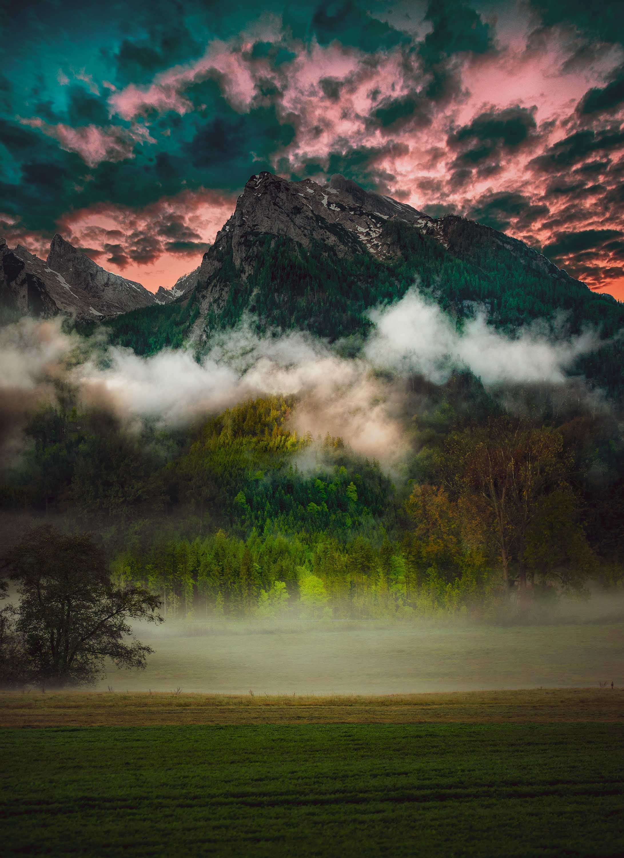Скачать картинку Гора, Трава, Туман, Деревья, Облака, Природа, Лес в телефон бесплатно.