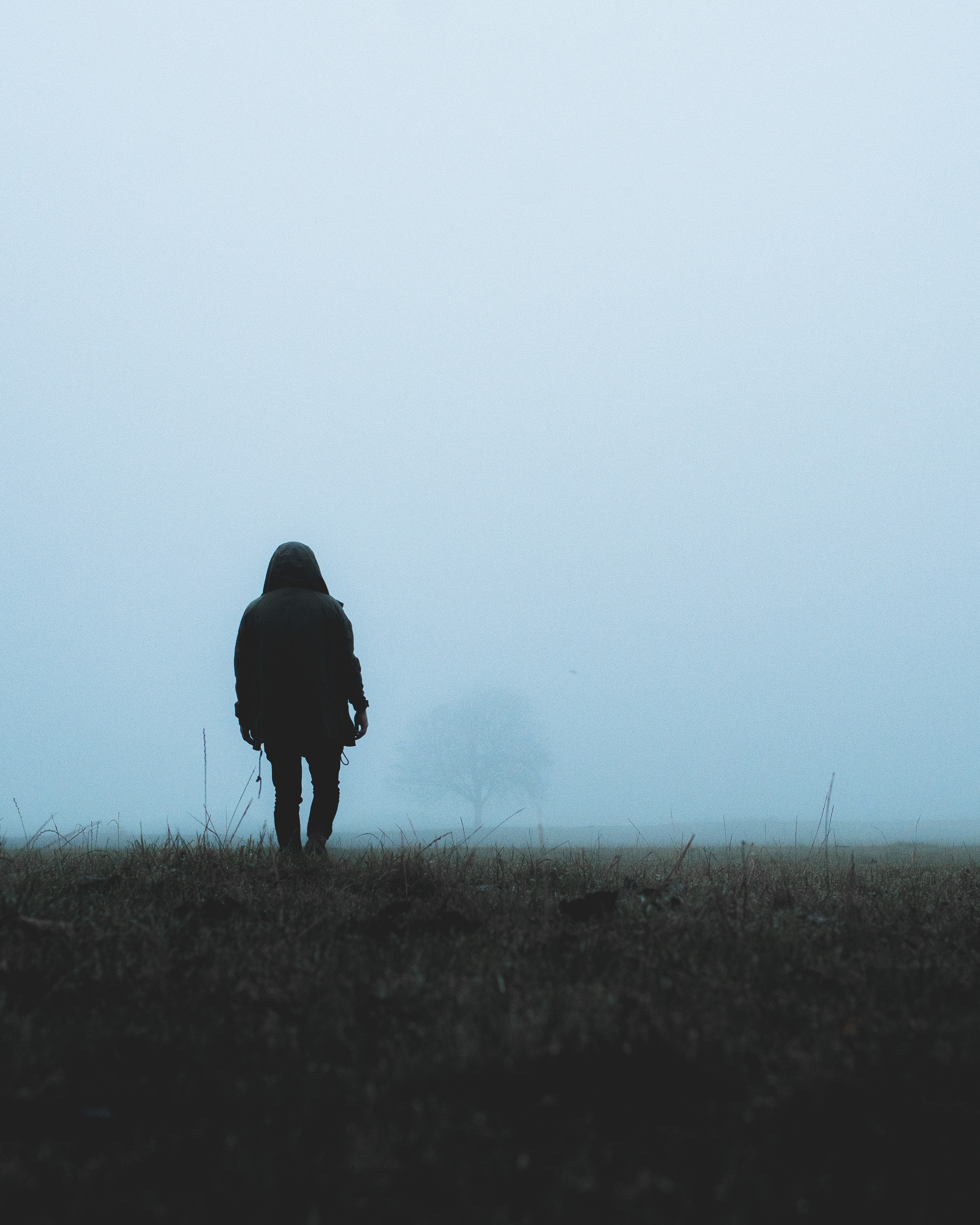 Download mobile wallpaper Fog, Grass, Person, Miscellaneous, Loneliness, Human, Miscellanea for free.