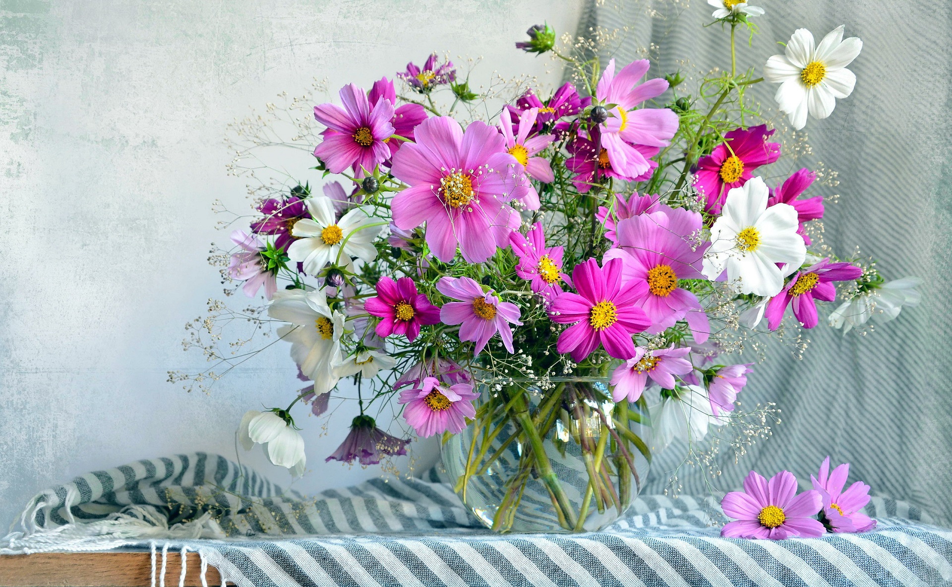 Download mobile wallpaper Still Life, Flower, Vase, Photography, Pink Flower for free.