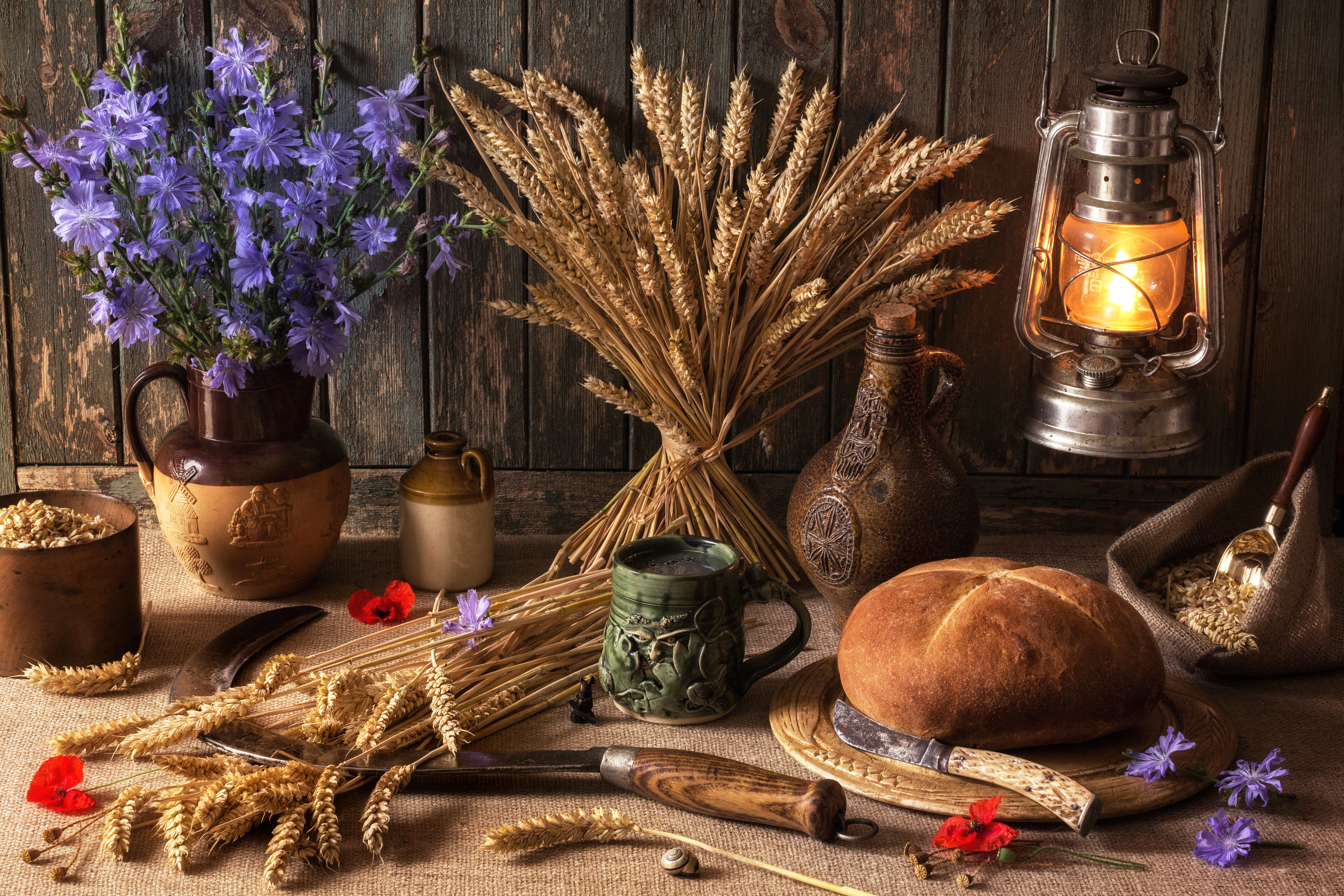 Laden Sie das Weizen, Blume, Laterne, Brot, Fotografie, Lila Blume, Stillleben-Bild kostenlos auf Ihren PC-Desktop herunter