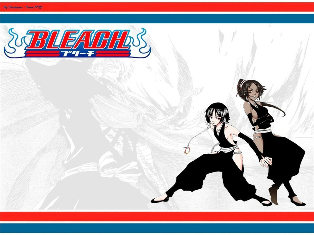 Download mobile wallpaper Anime, Bleach, Yoruichi Shihôin, Soifon (Bleach) for free.