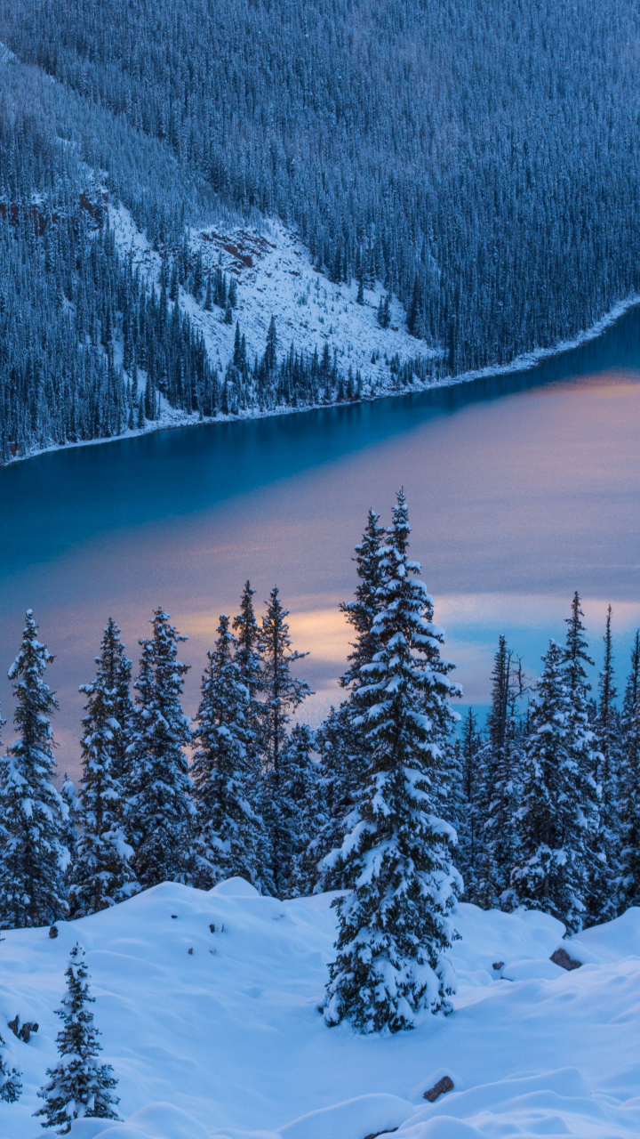 Download mobile wallpaper Winter, Snow, Lakes, Lake, Tree, Earth for free.