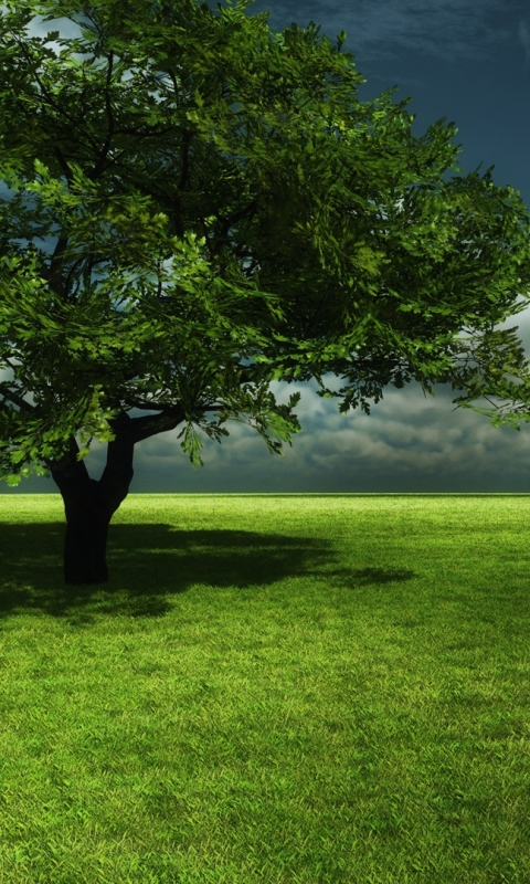 Handy-Wallpaper Landschaft, Bäume, Horizont, Baum, Feld, Wolke, Gras, Himmel, Erde/natur, Aufstellen kostenlos herunterladen.