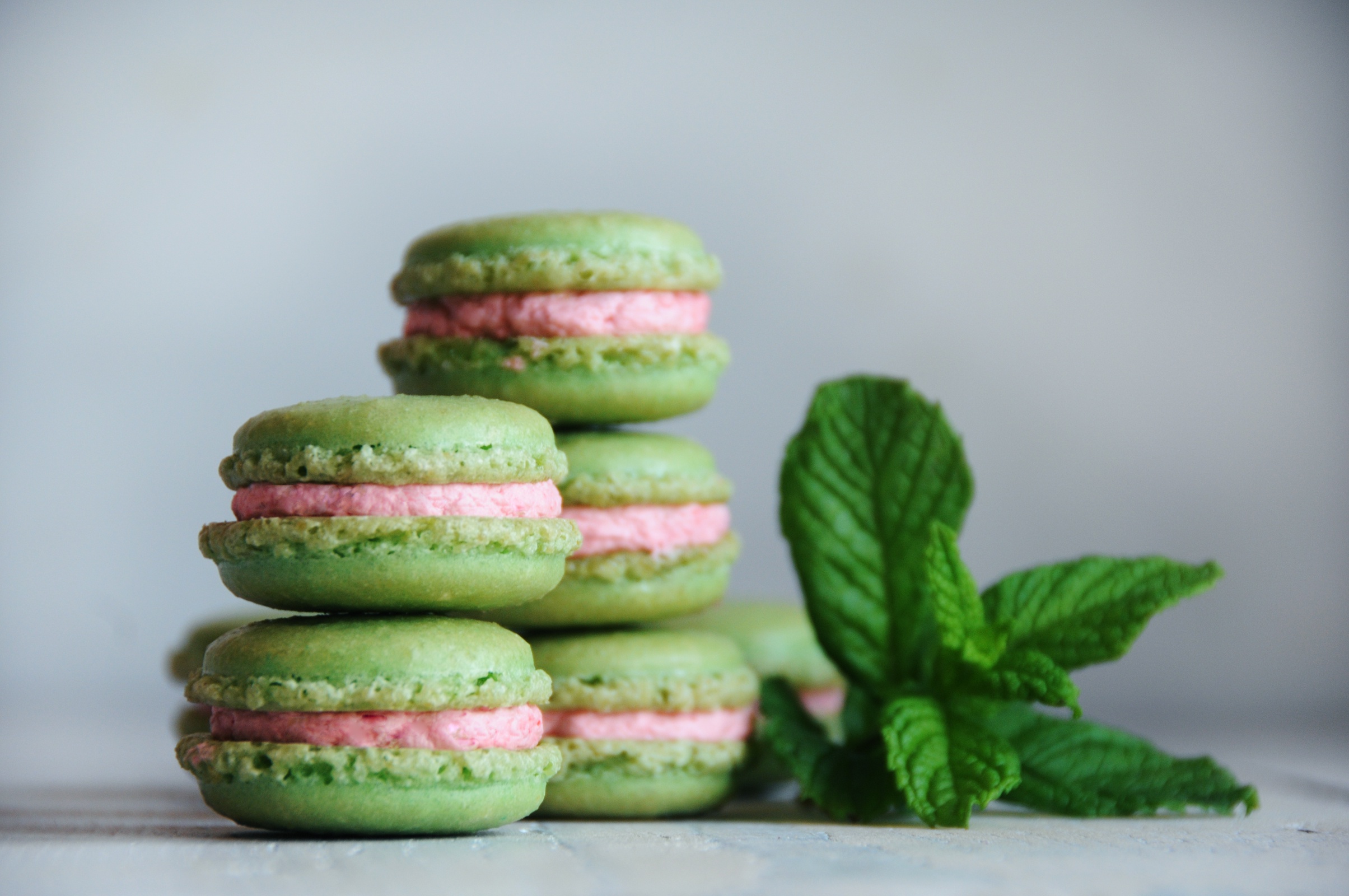 Free download wallpaper Food, Mint, Sweets, Macaron on your PC desktop